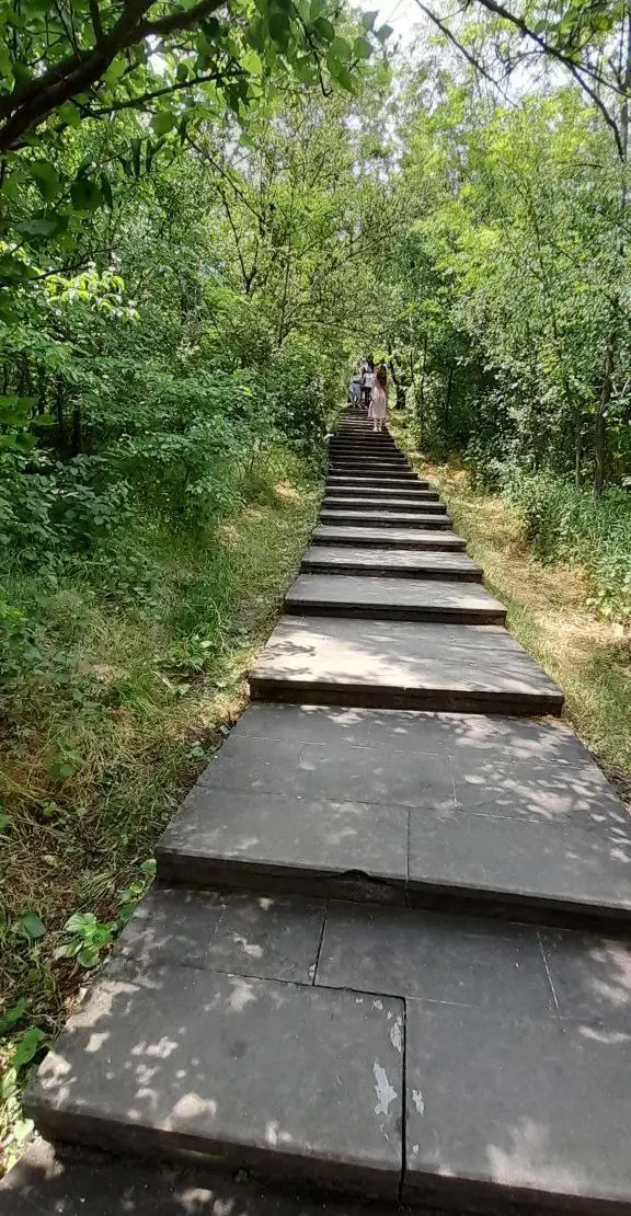 Image 17 of 24