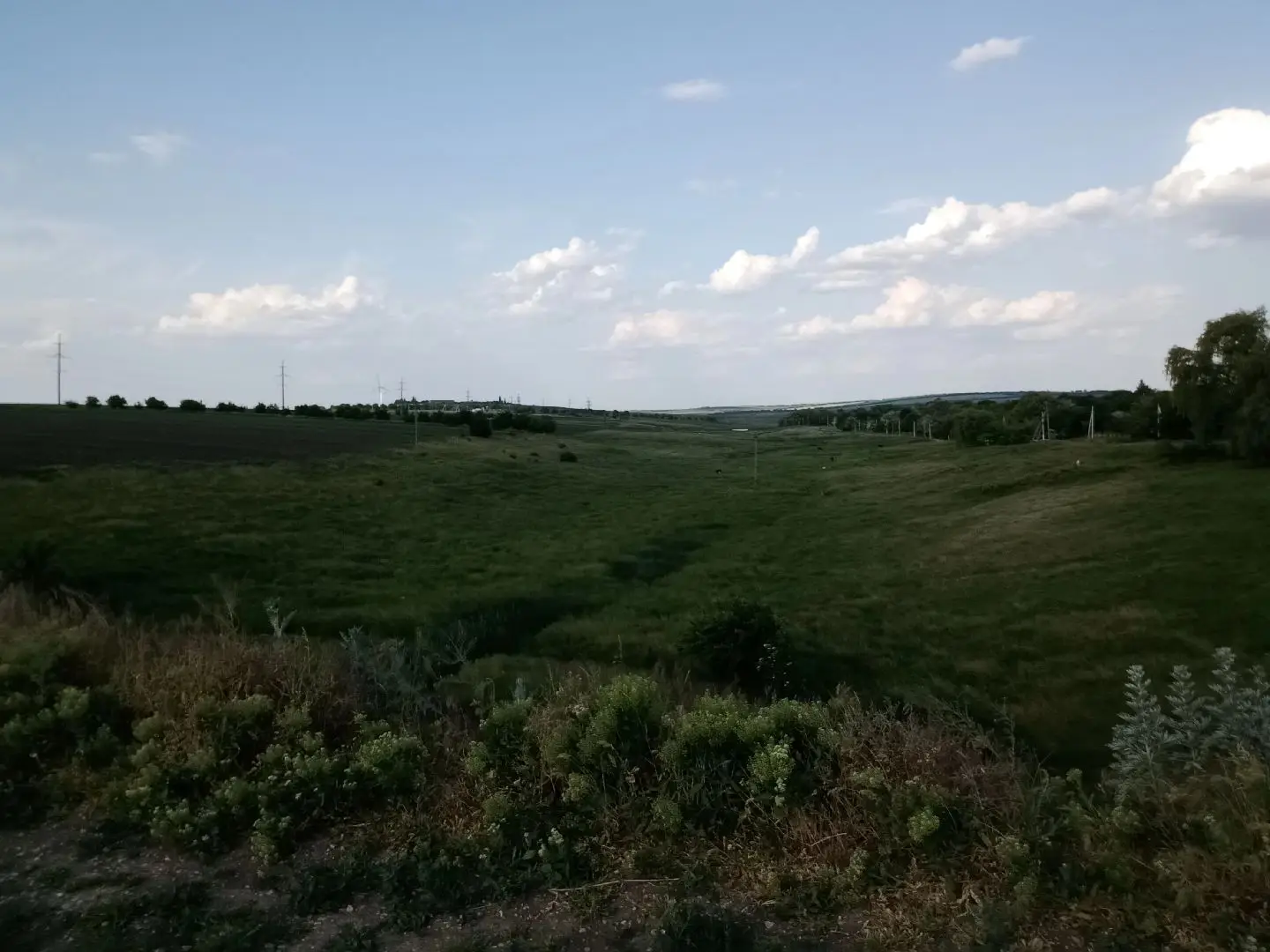 Image 3 of 24