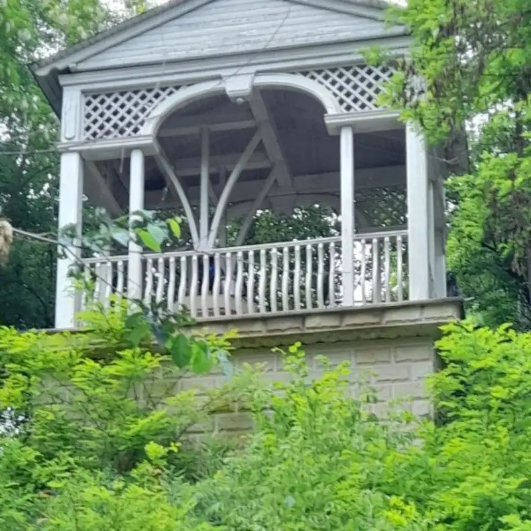 Image 8 of 24