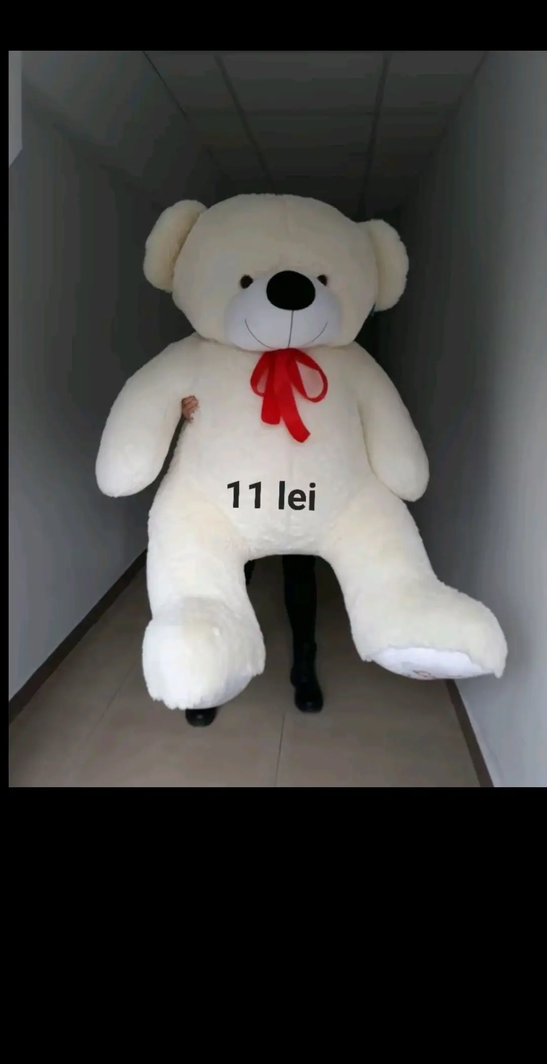Image 4 of 9
