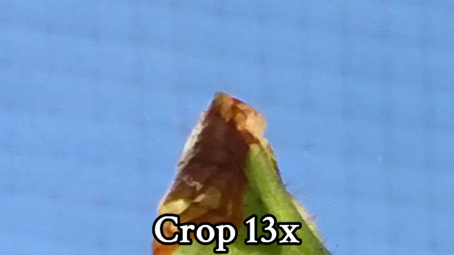 Image 7 of 7