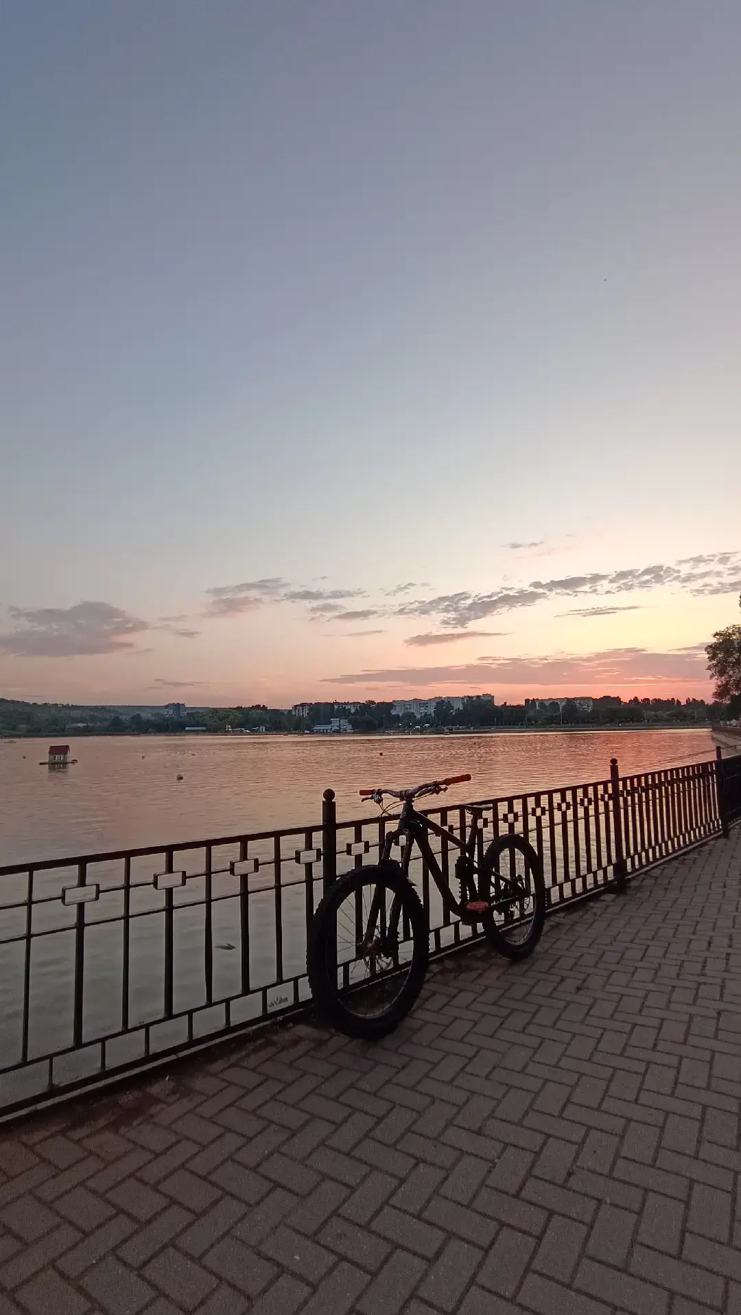 Image 20 of 24