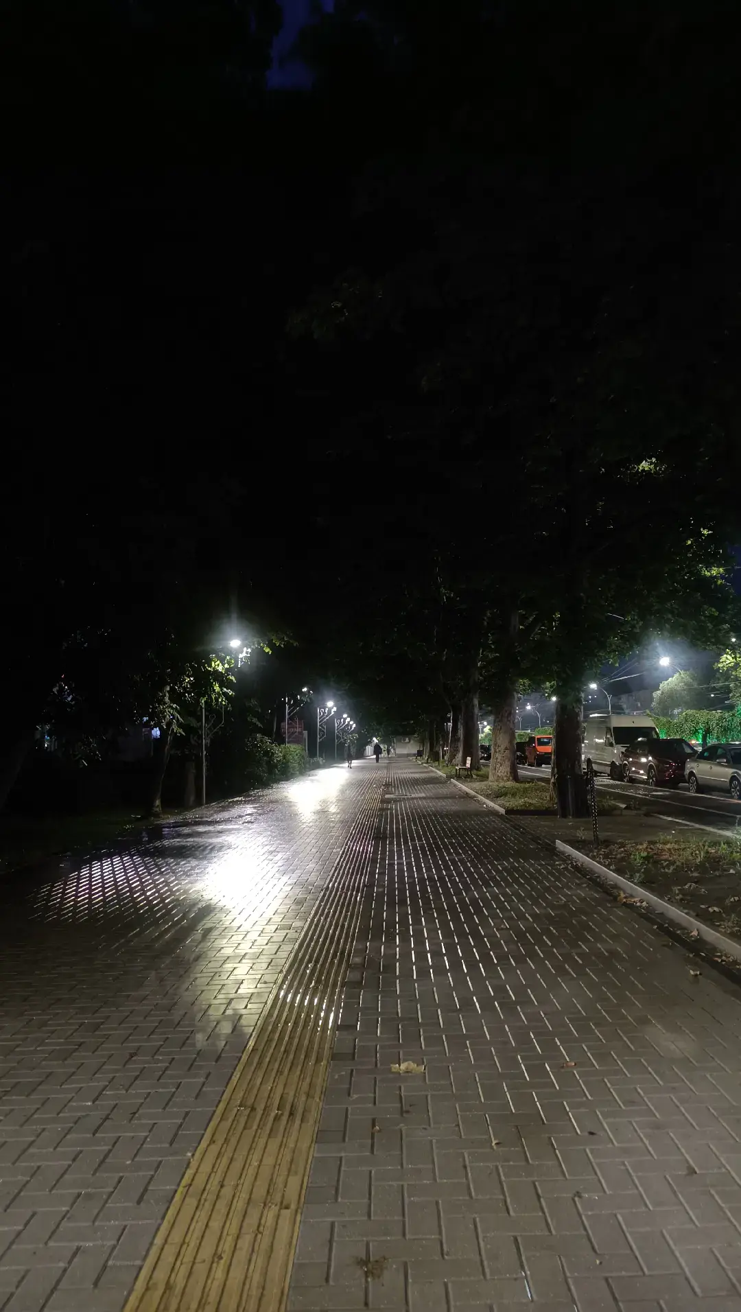 Image 6 of 19
