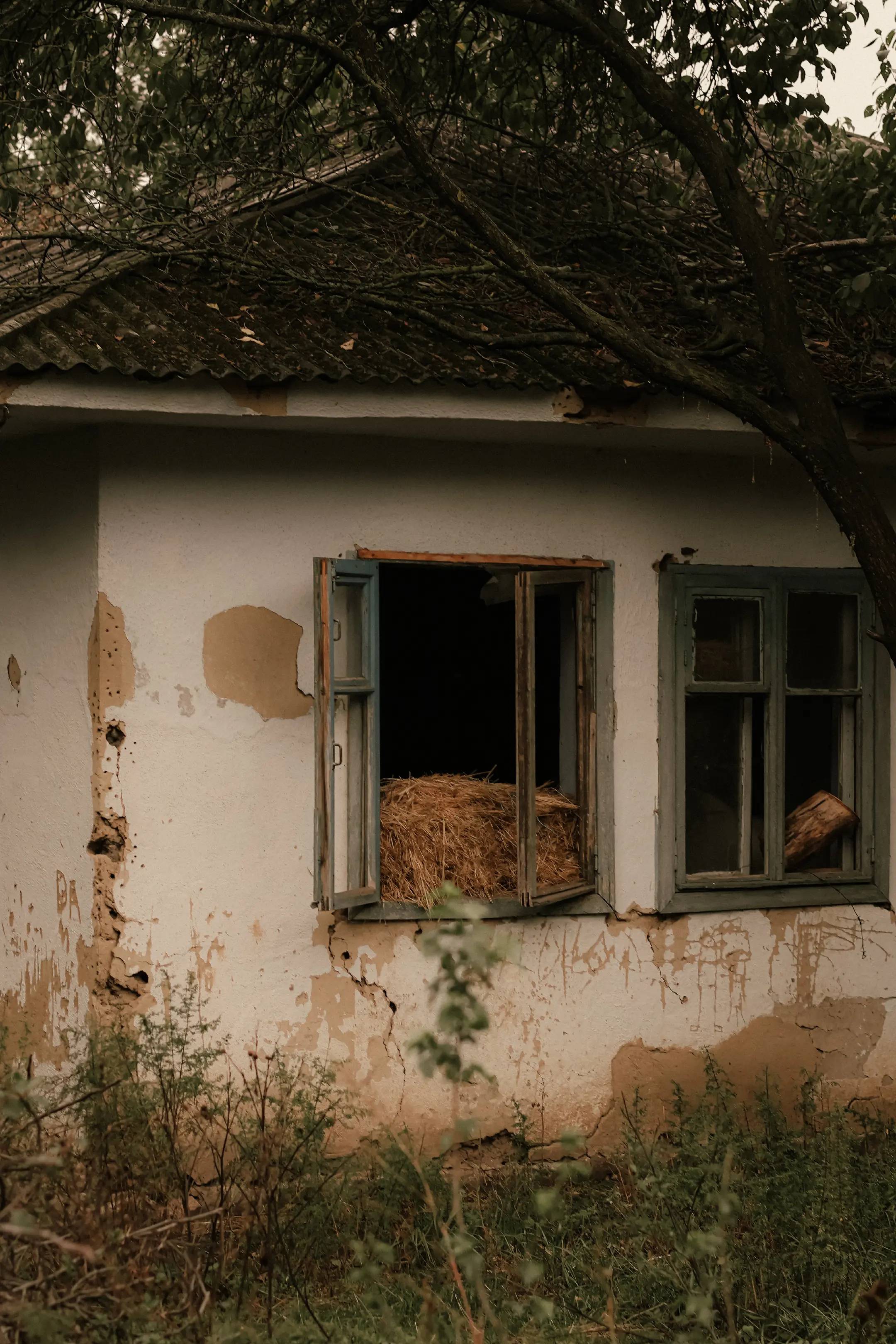Image 18 of 22