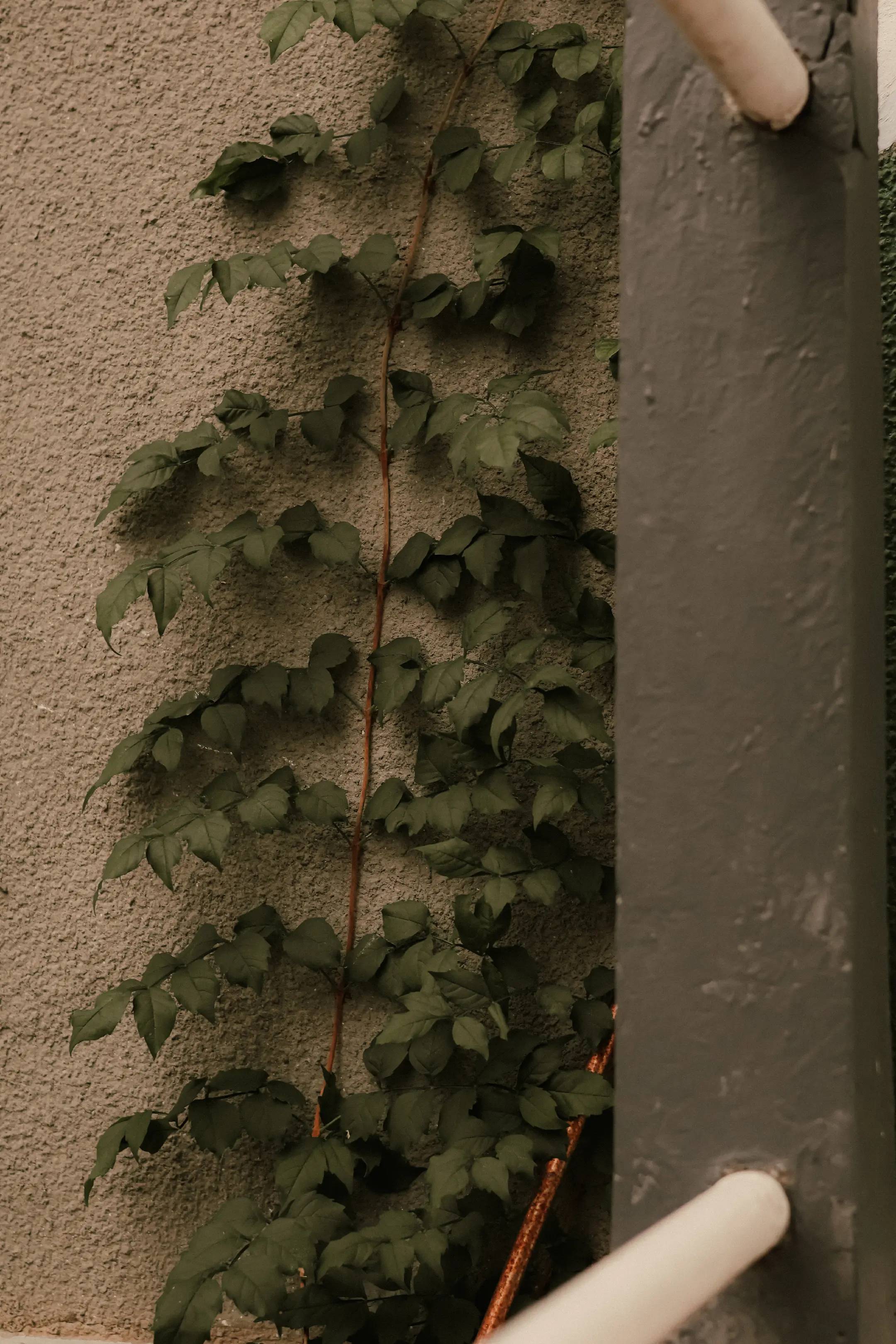 Image 22 of 22