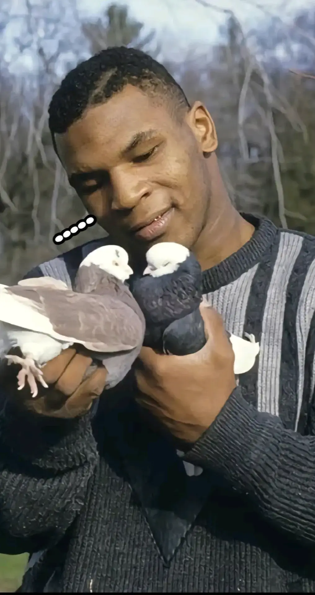 Image 4 of 4