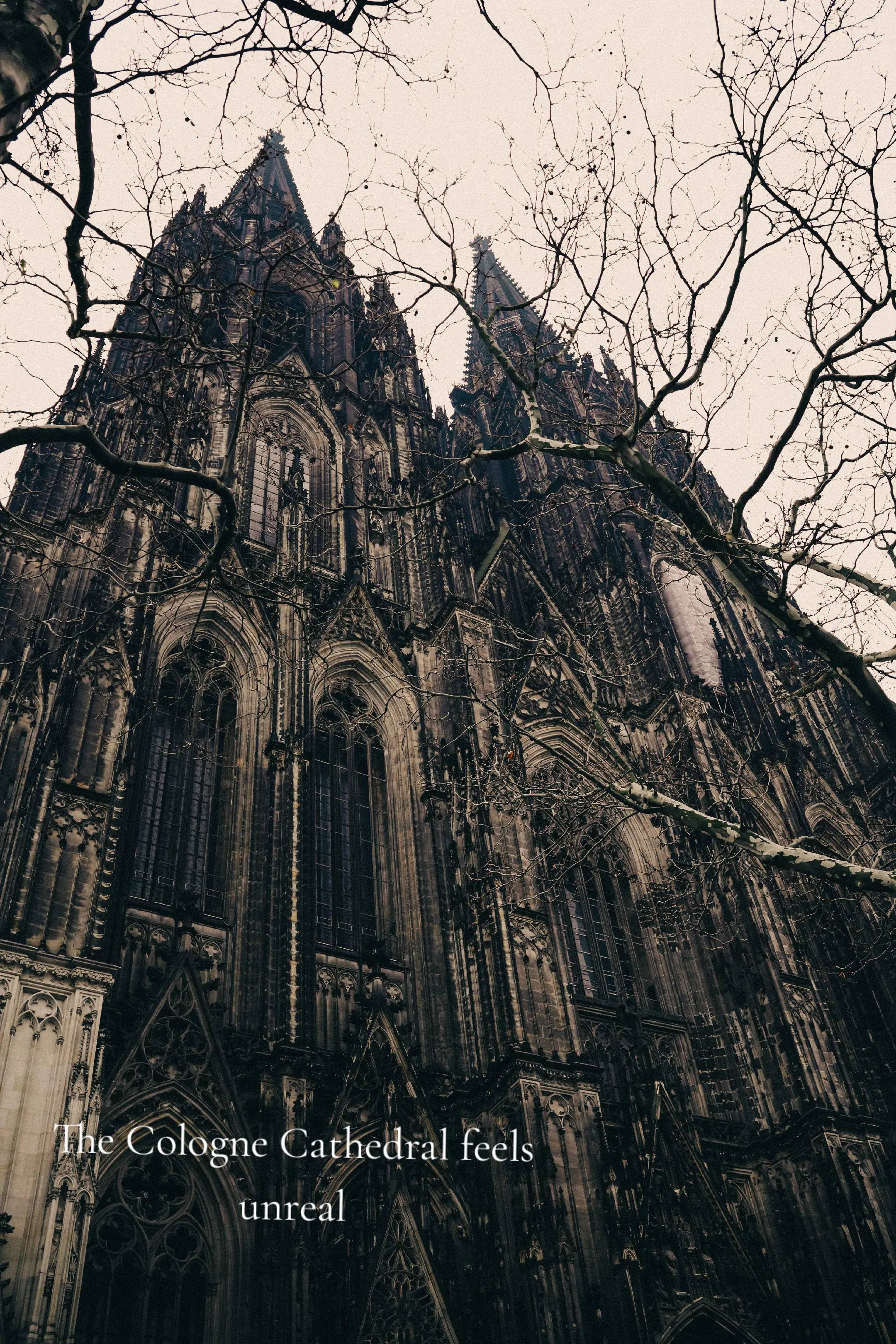 Image 1 of 14