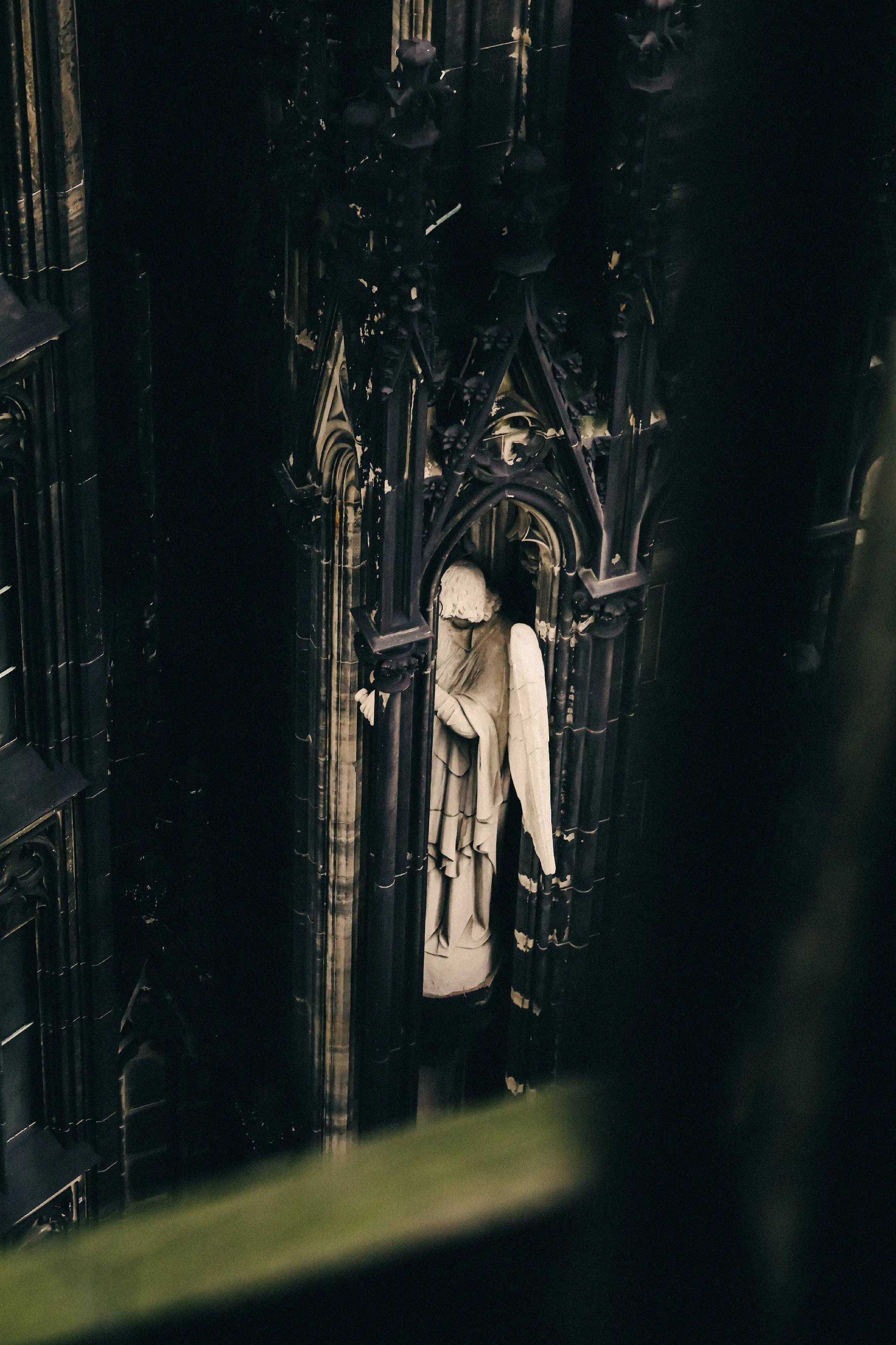 Image 12 of 14
