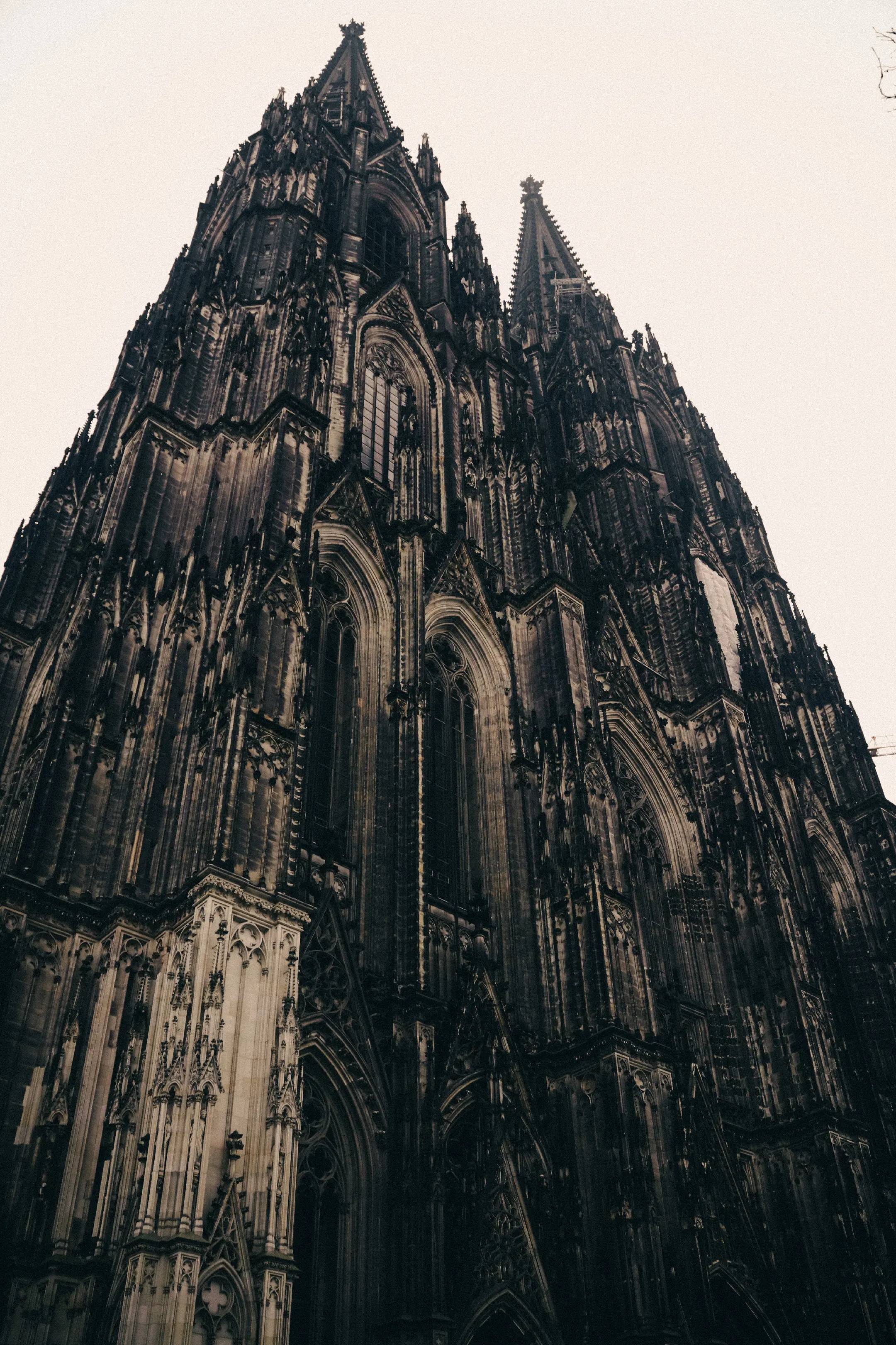 Image 5 of 14