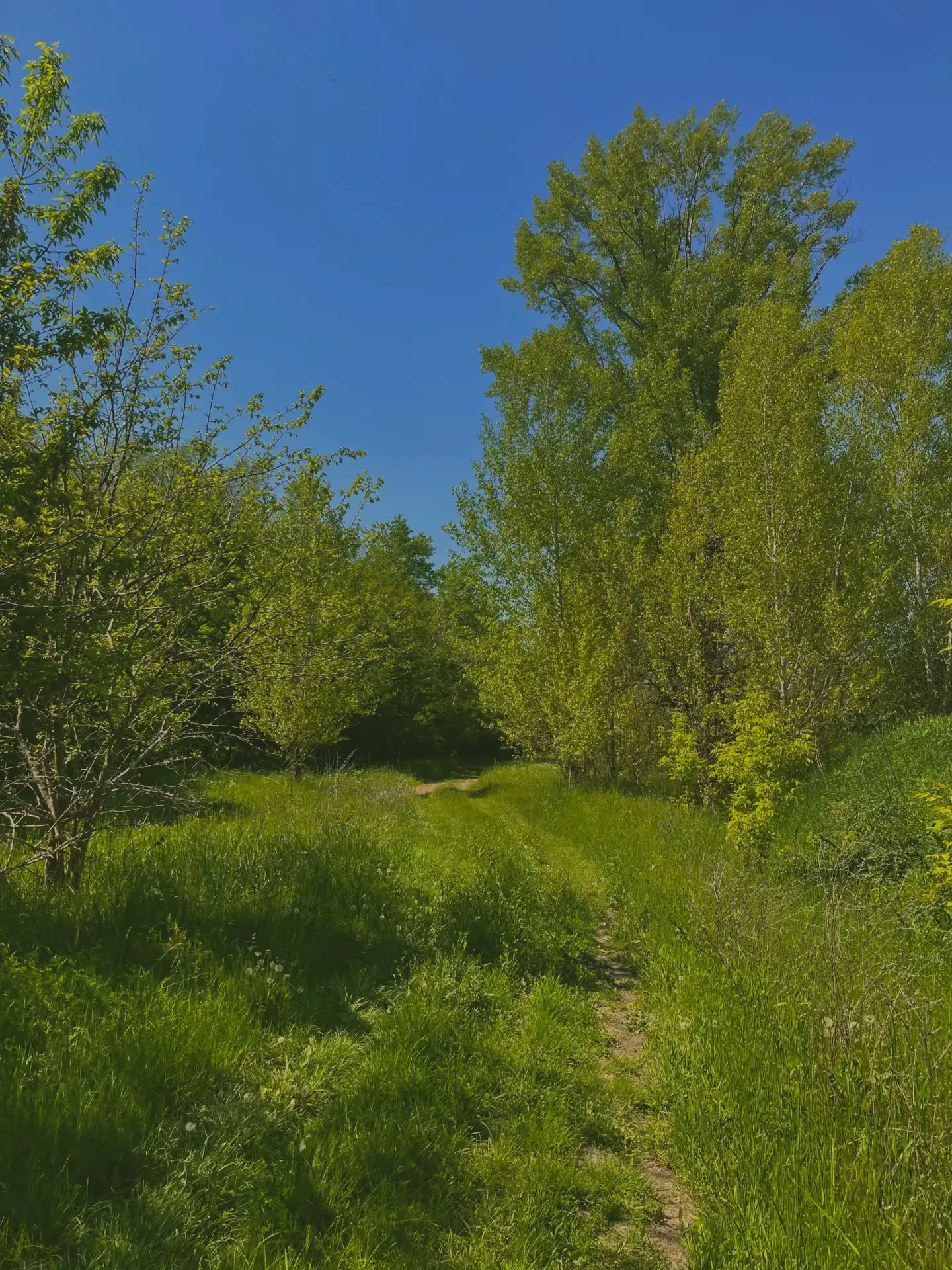 Image 10 of 10
