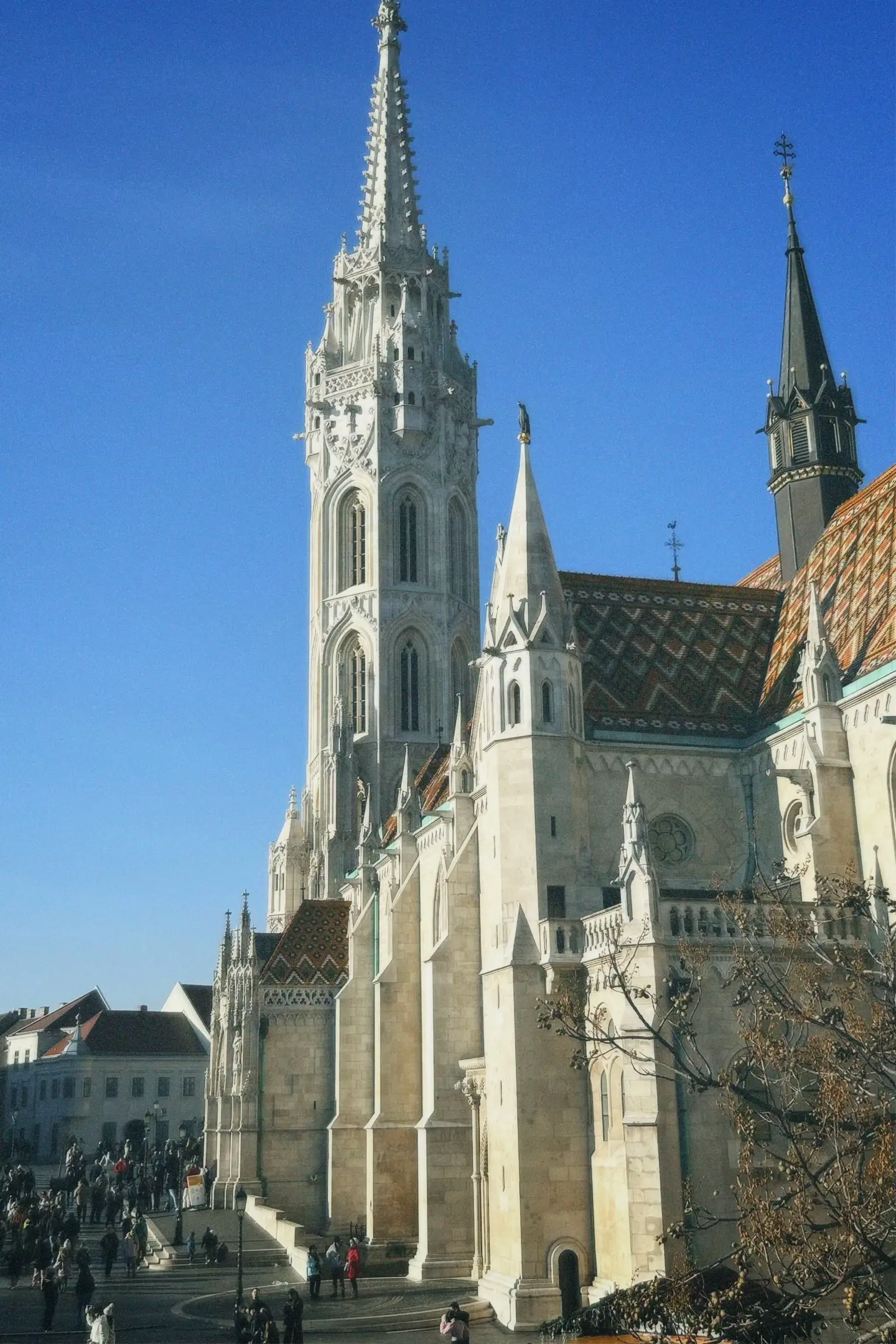 Image 10 of 14