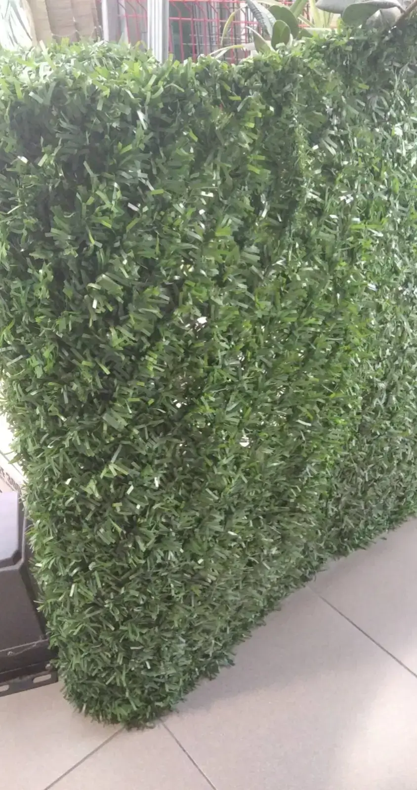 Image 3 of 24