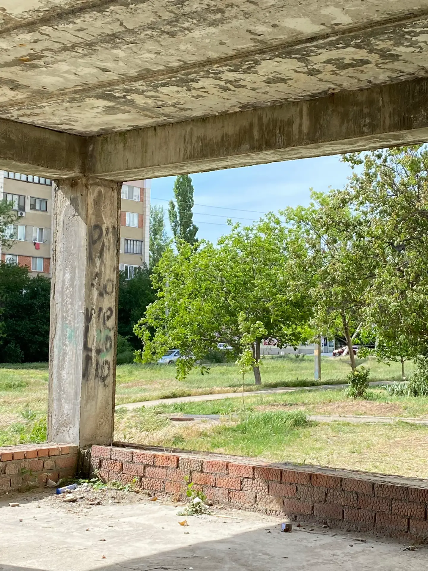 Image 6 of 12