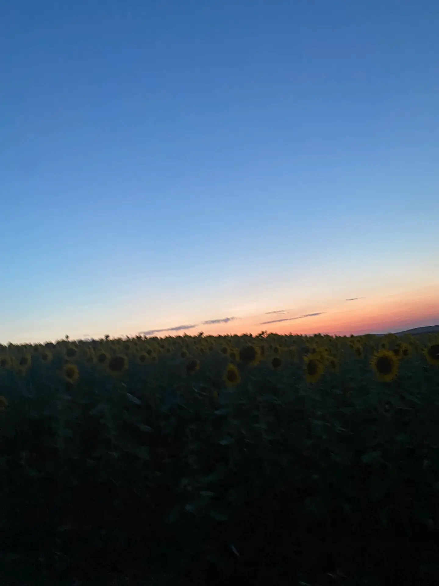 Image 6 of 9