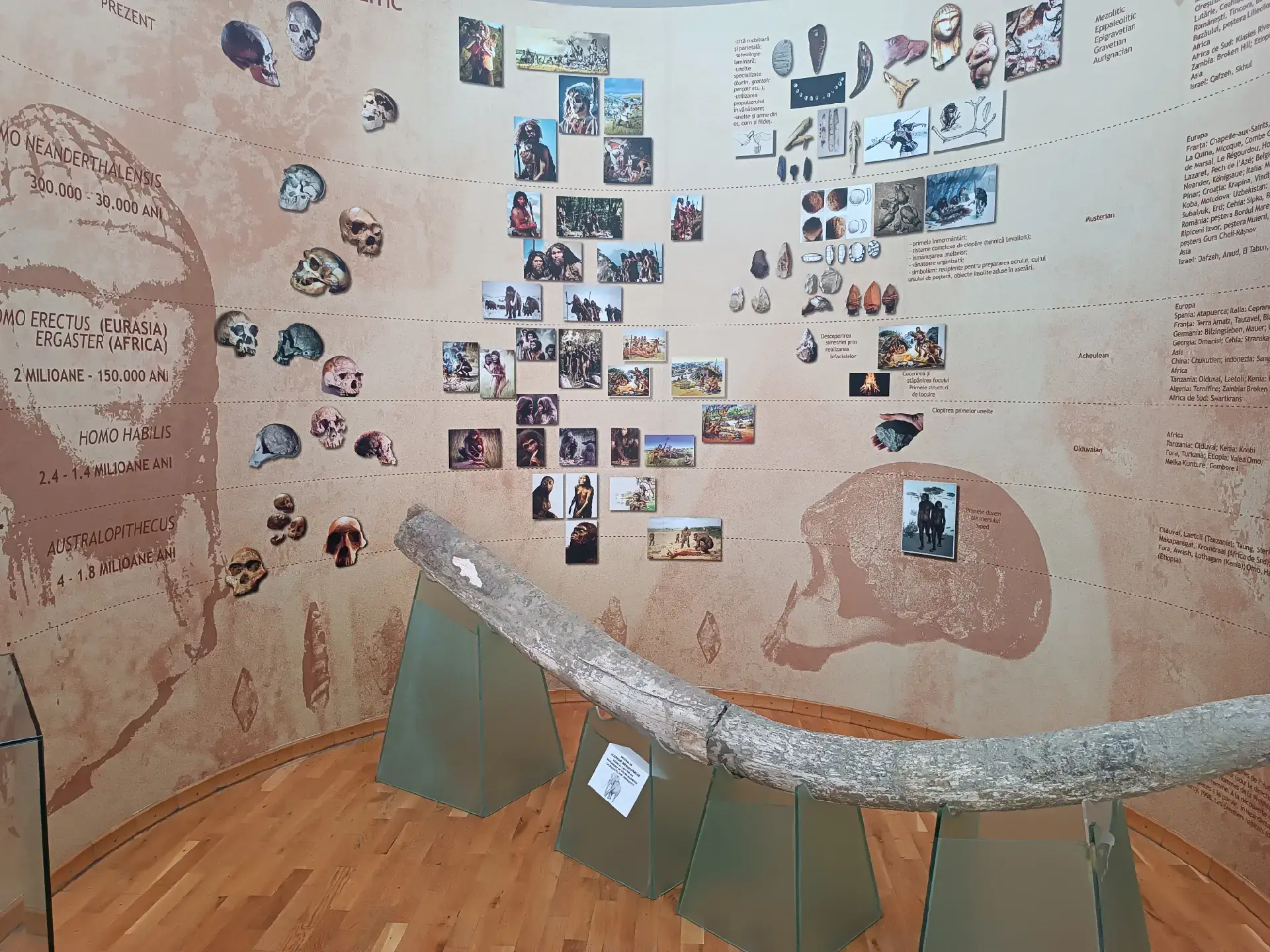 Image 10 of 14