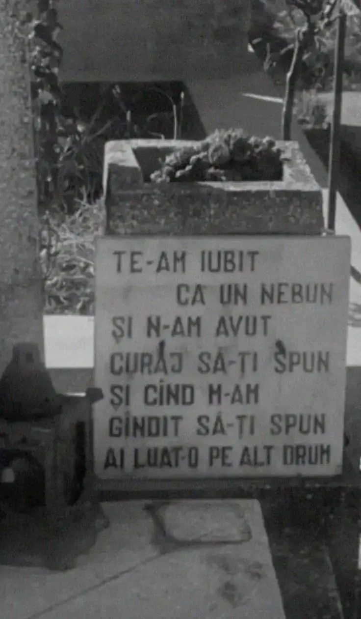 Image 2 of 2