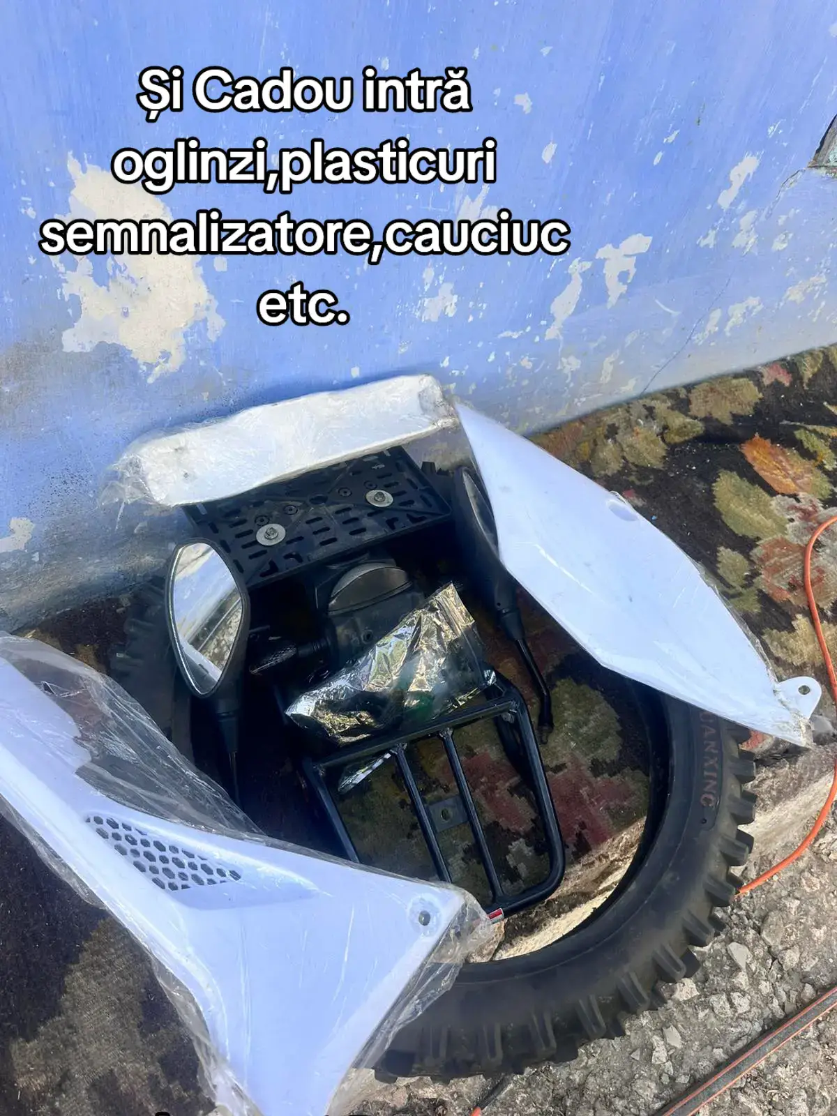 Image 10 of 10