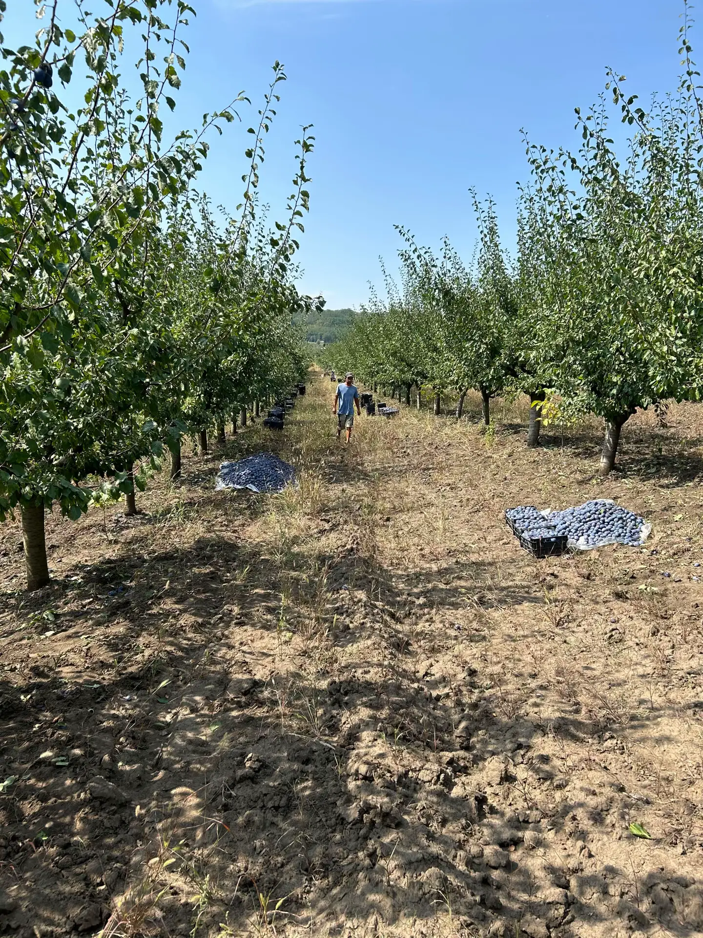 Image 8 of 20