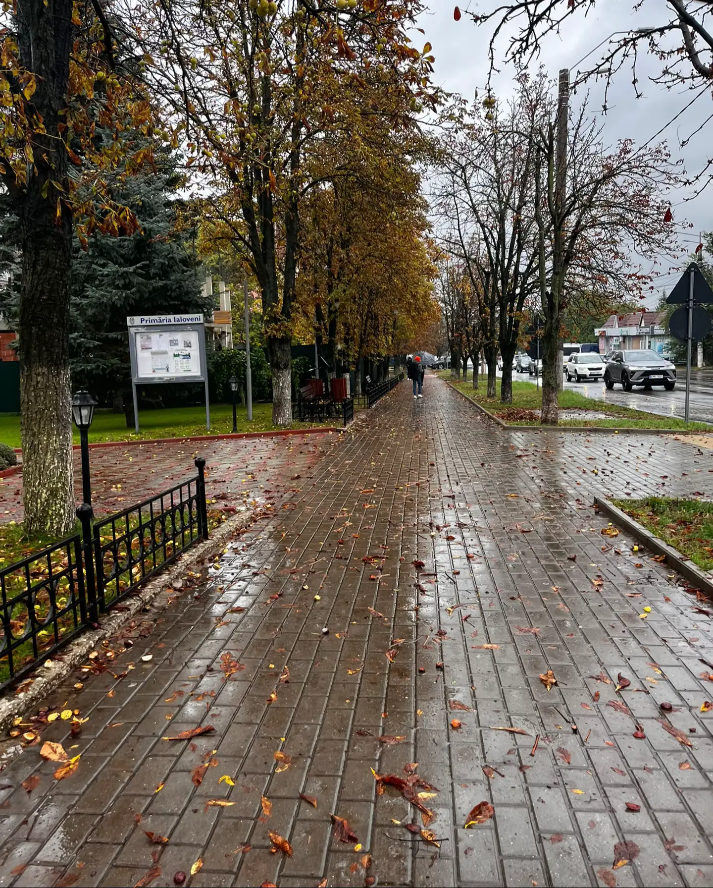 Image 6 of 11