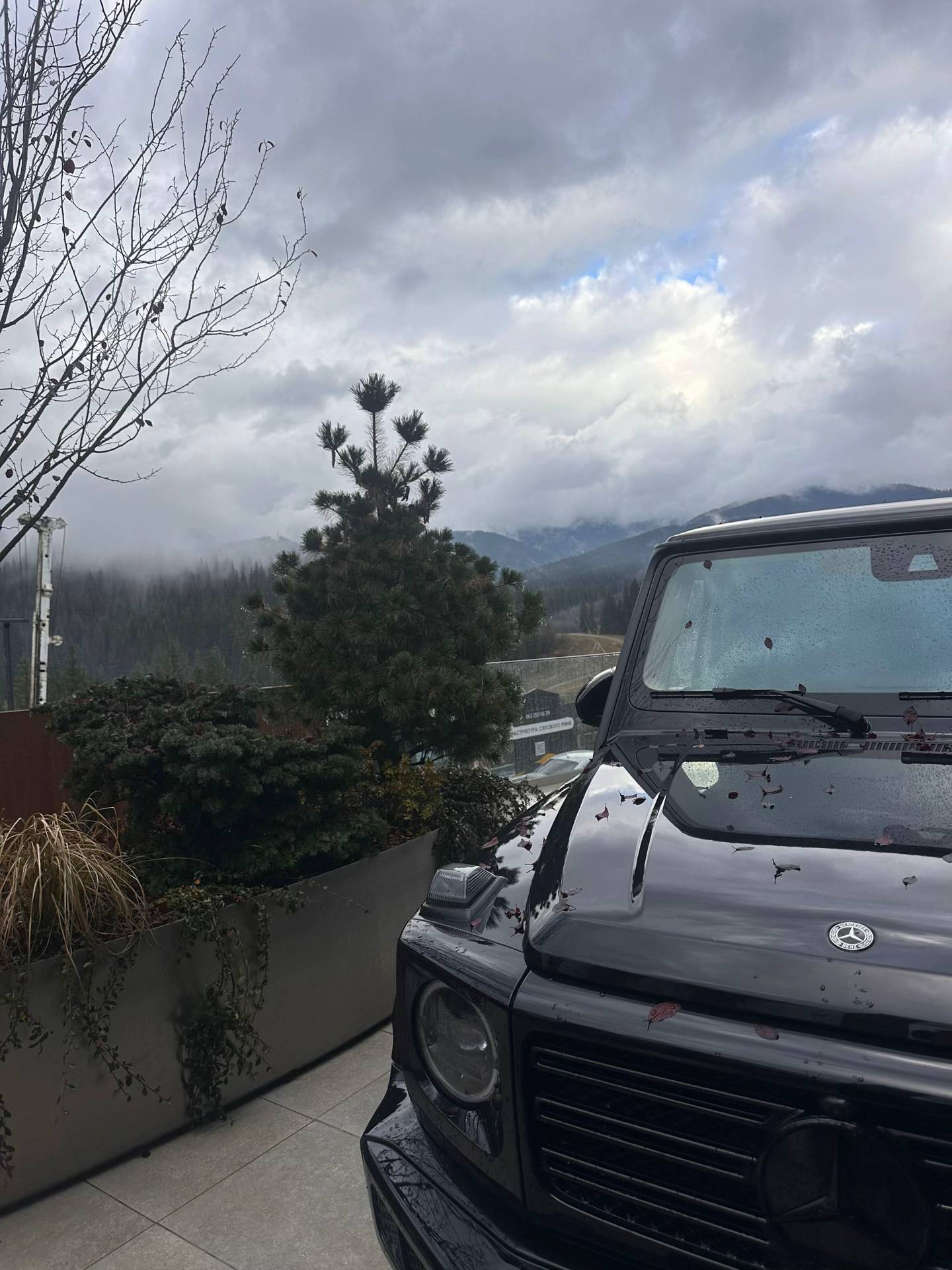 Image 2 of 9