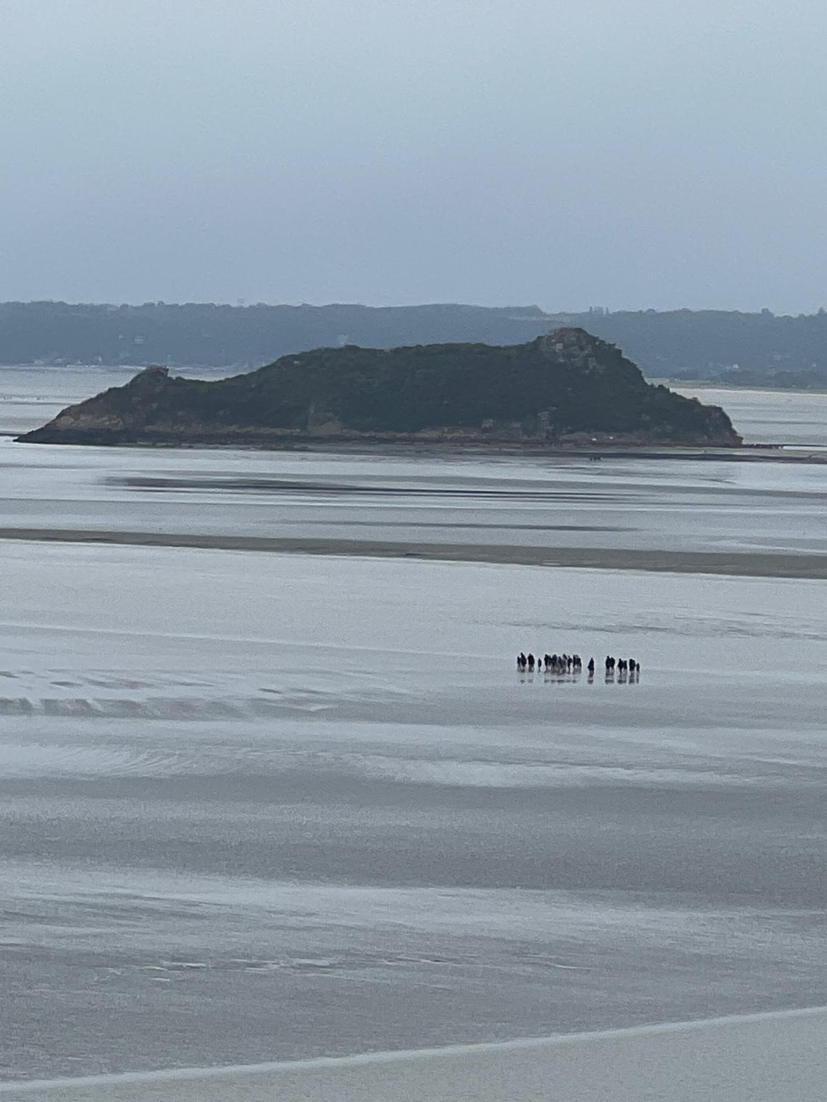 Image 11 of 14