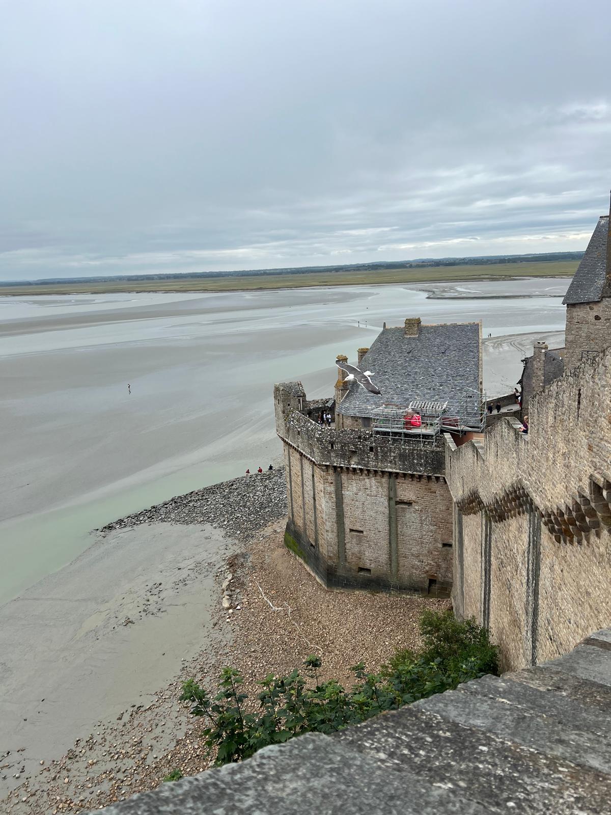 Image 9 of 14