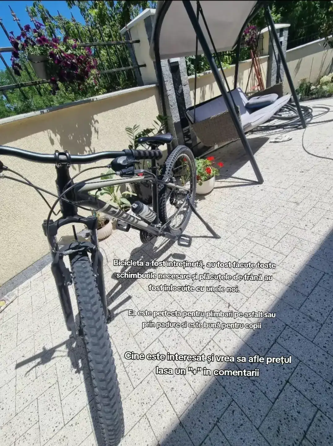 Image 6 of 6