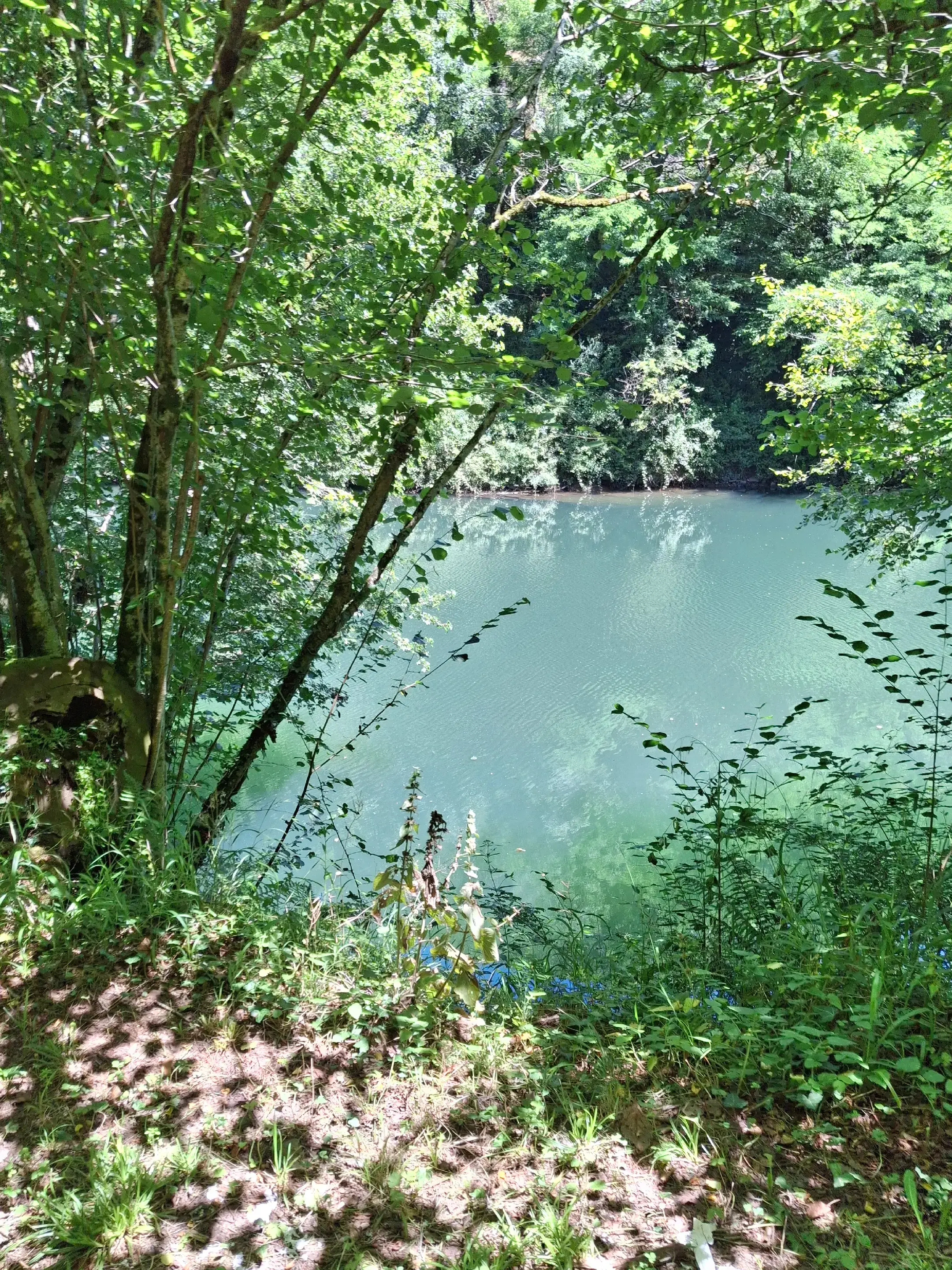 Image 4 of 6