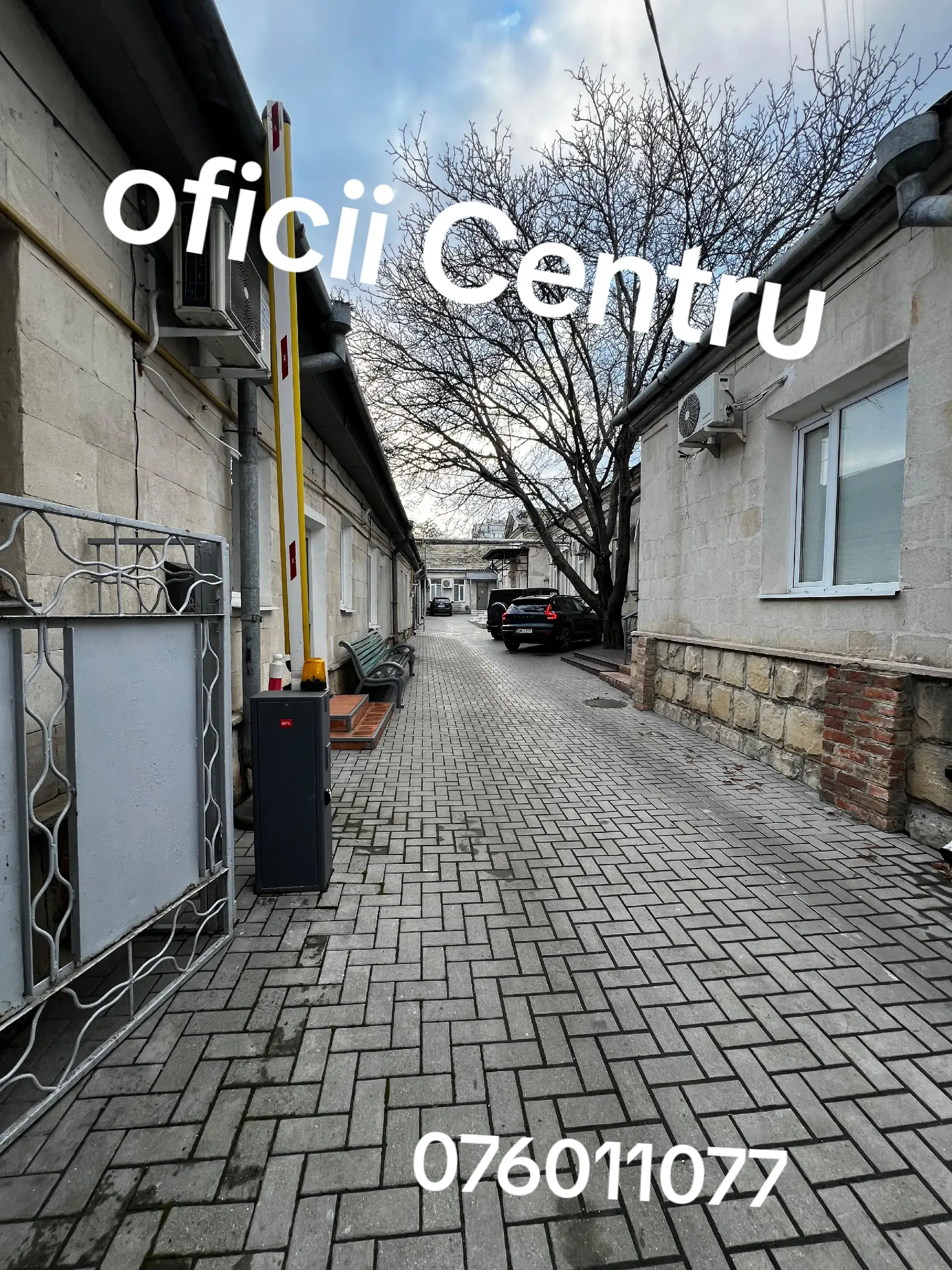 Image 2 of 13