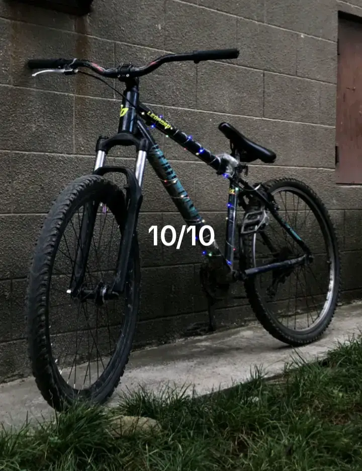 Image 3 of 20