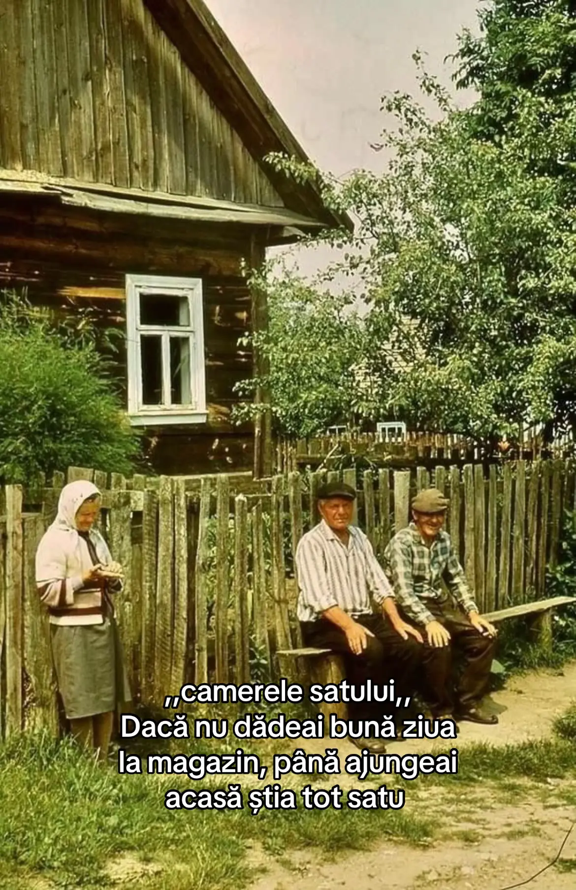 Image 6 of 11