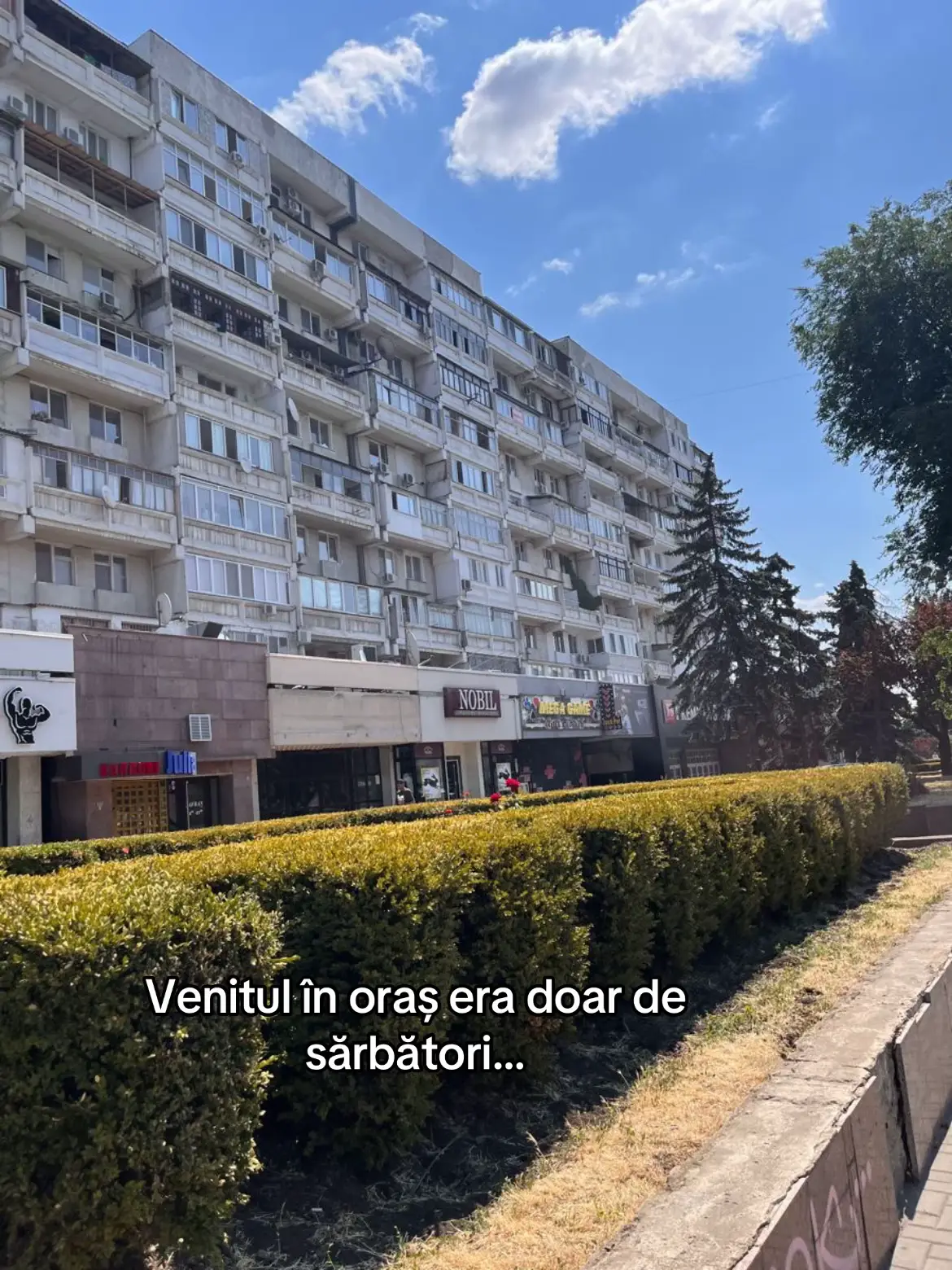 Image 8 of 11