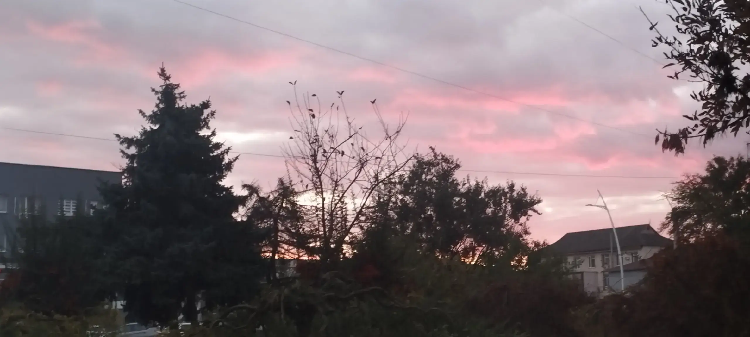 Image 13 of 15