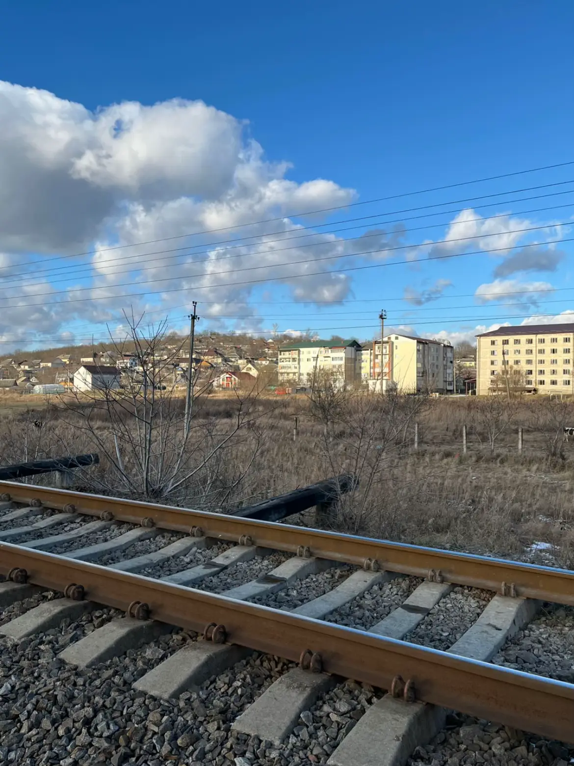 Image 2 of 9