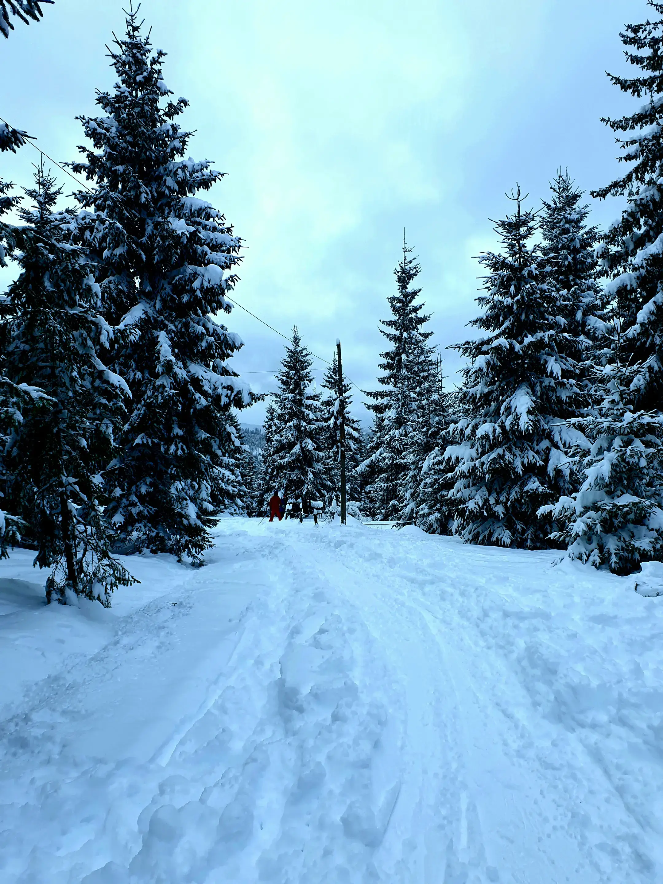 Image 7 of 10