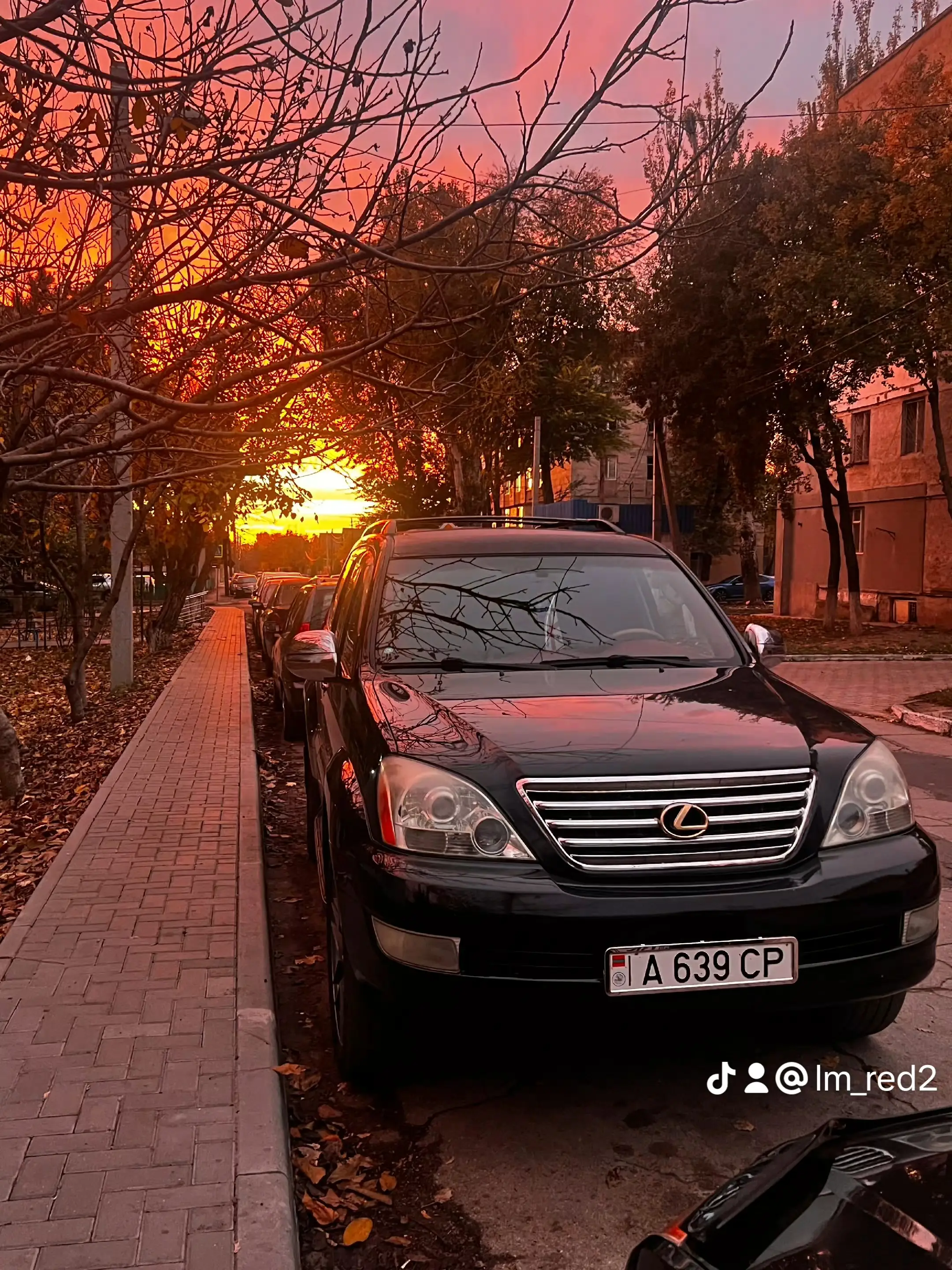 Image 9 of 9