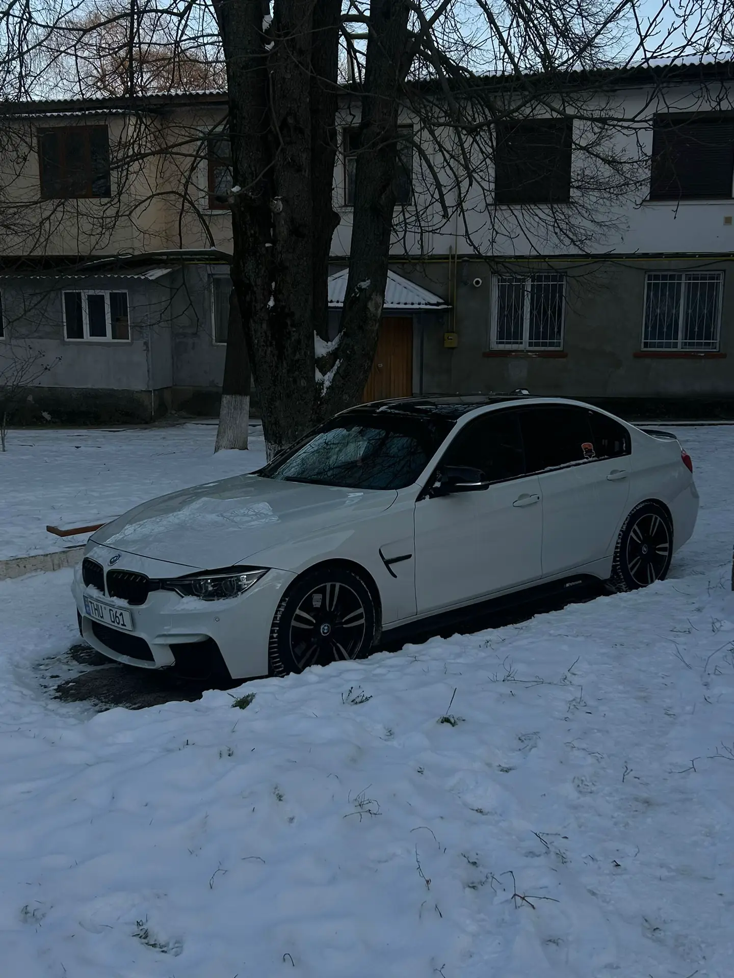 Image 6 of 14