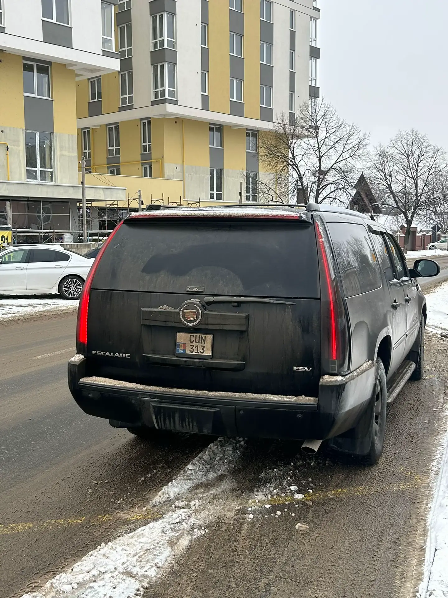 Image 7 of 14