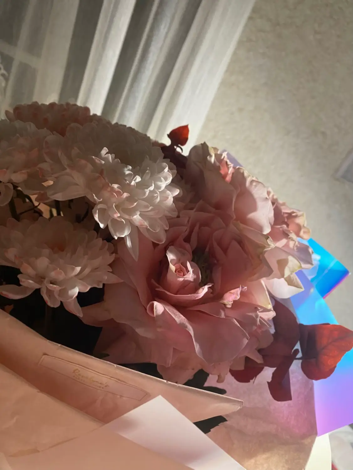 Image 3 of 24