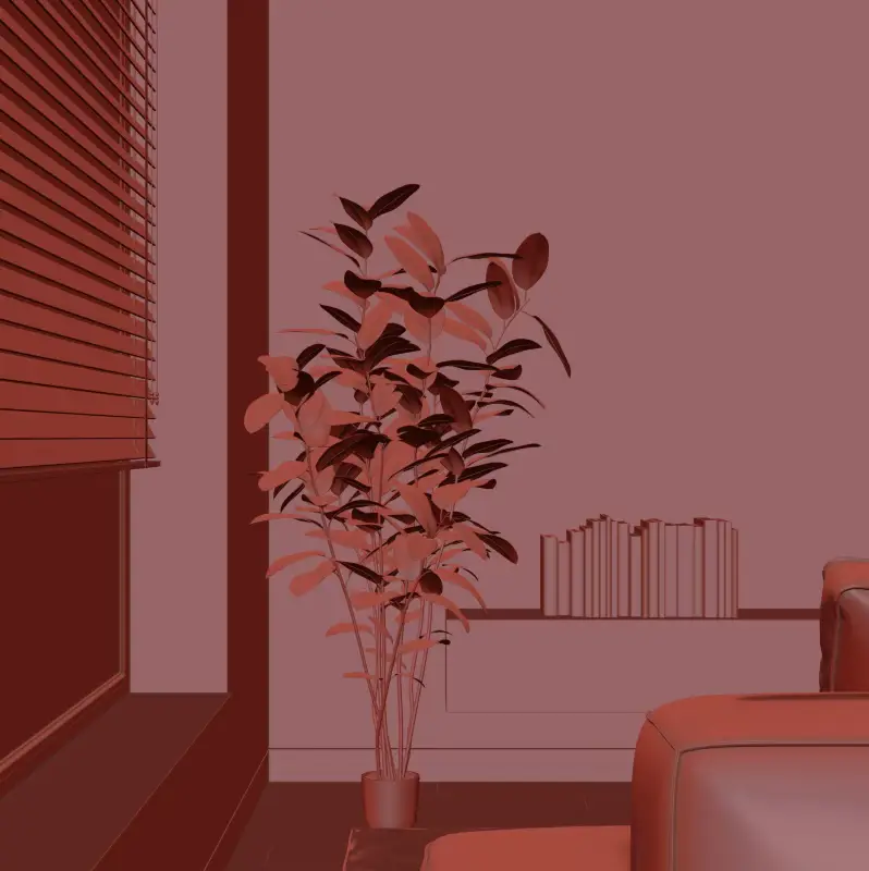 Image 5 of 6