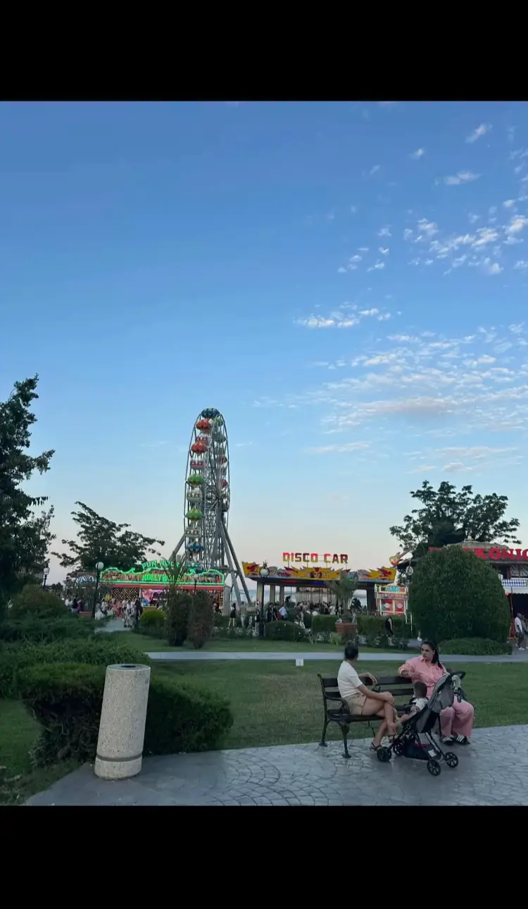 Image 1 of 19