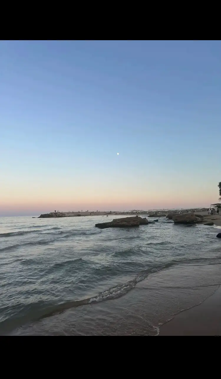 Image 2 of 19