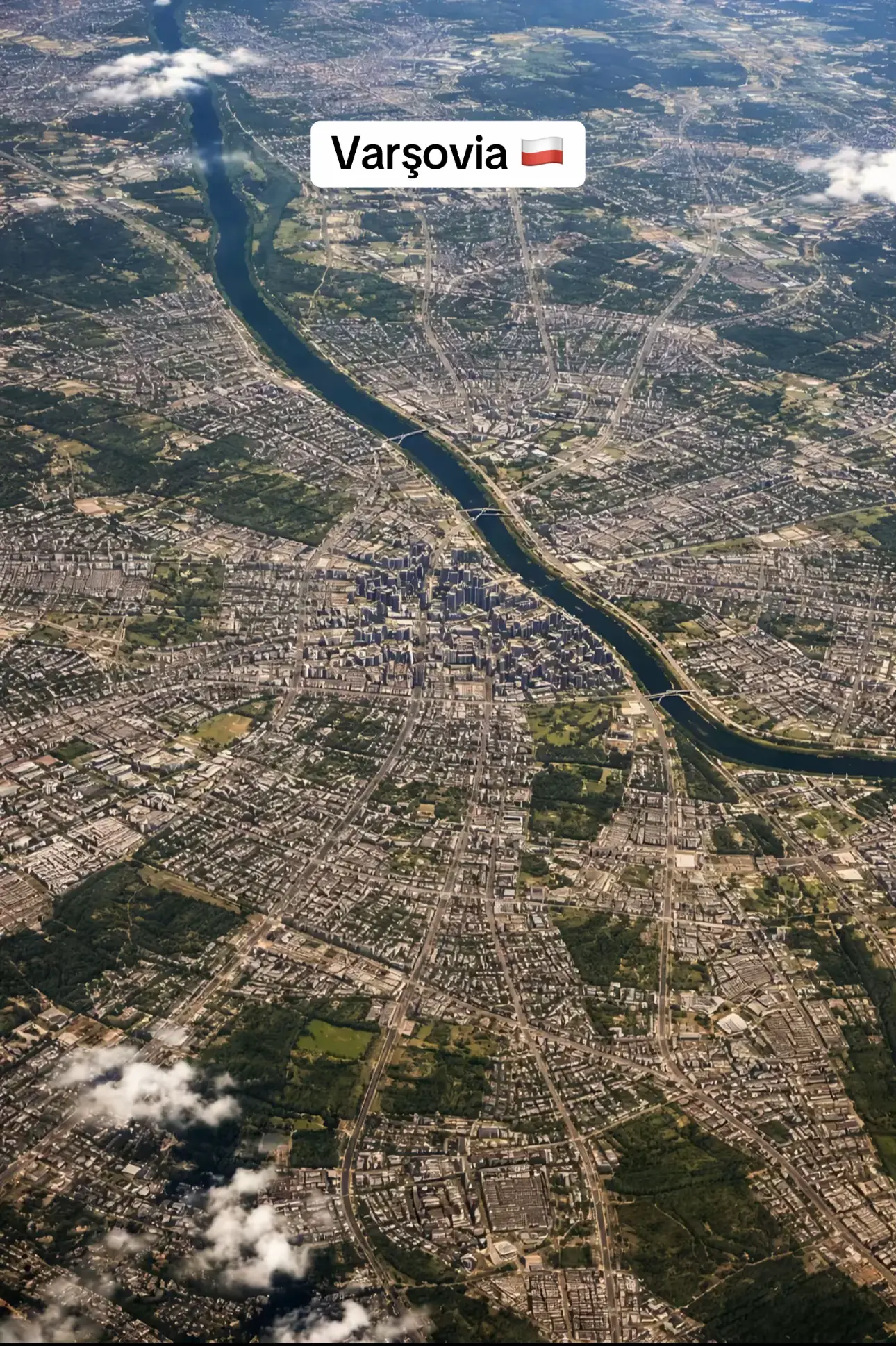Image 7 of 14