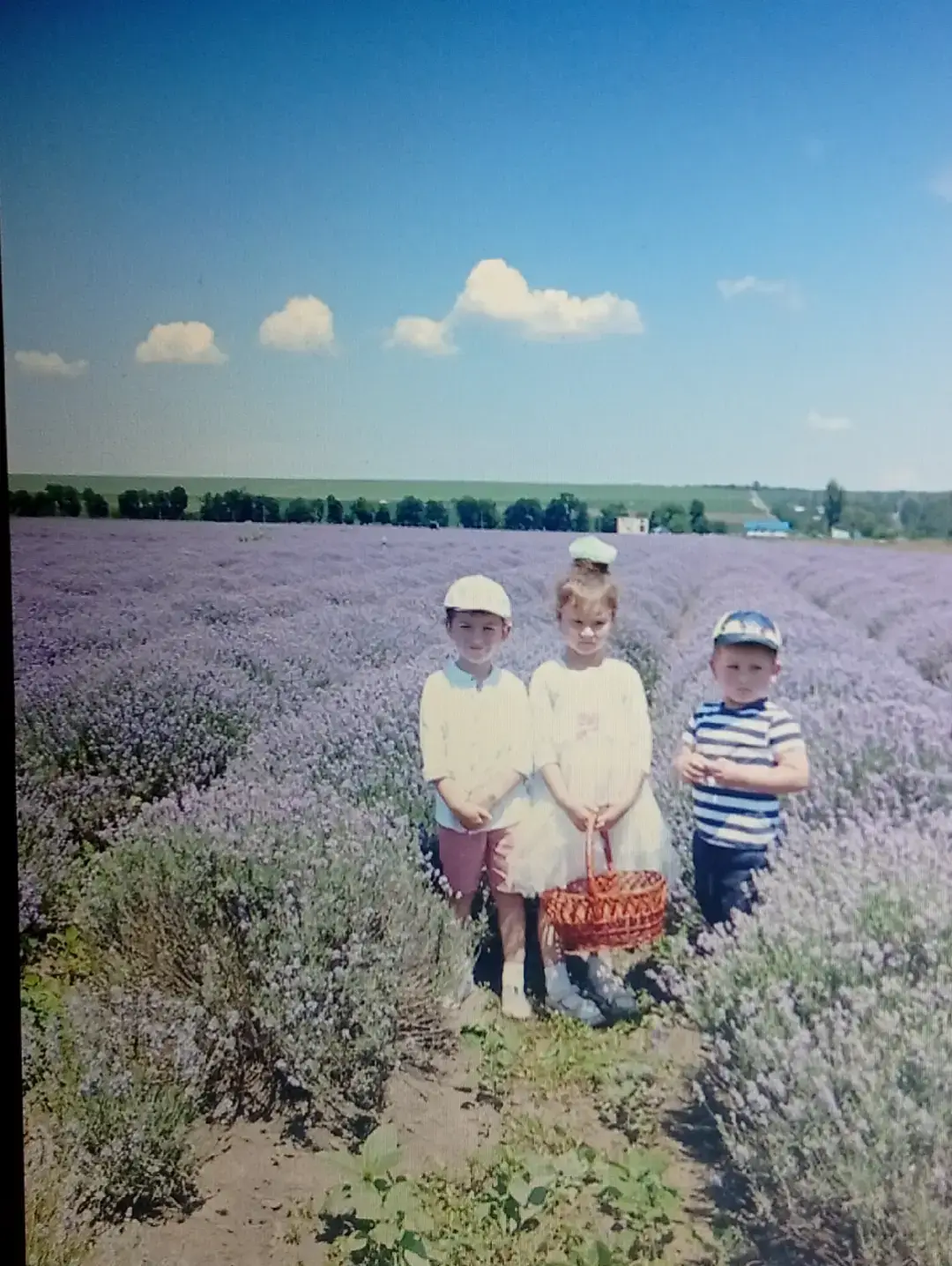 Image 16 of 17