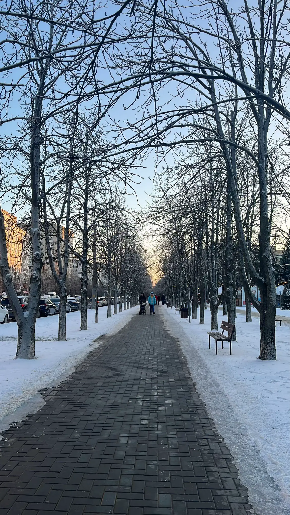 Image 7 of 14