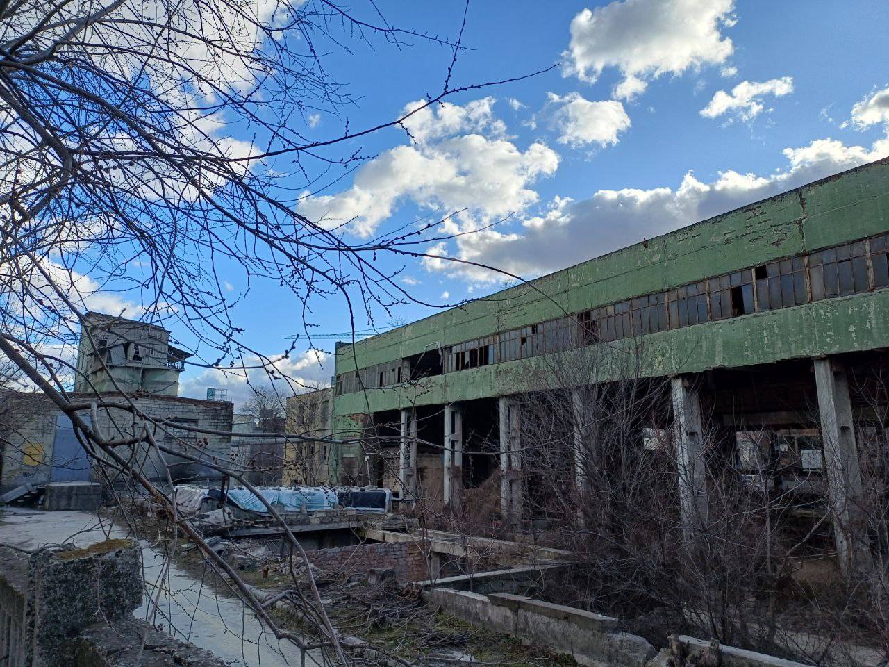 Image 8 of 12