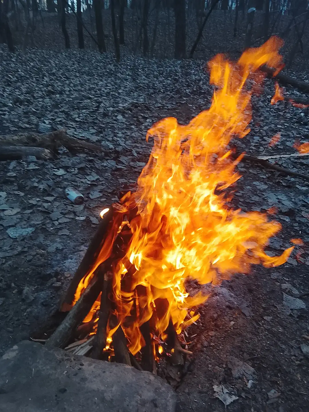 Image 3 of 4