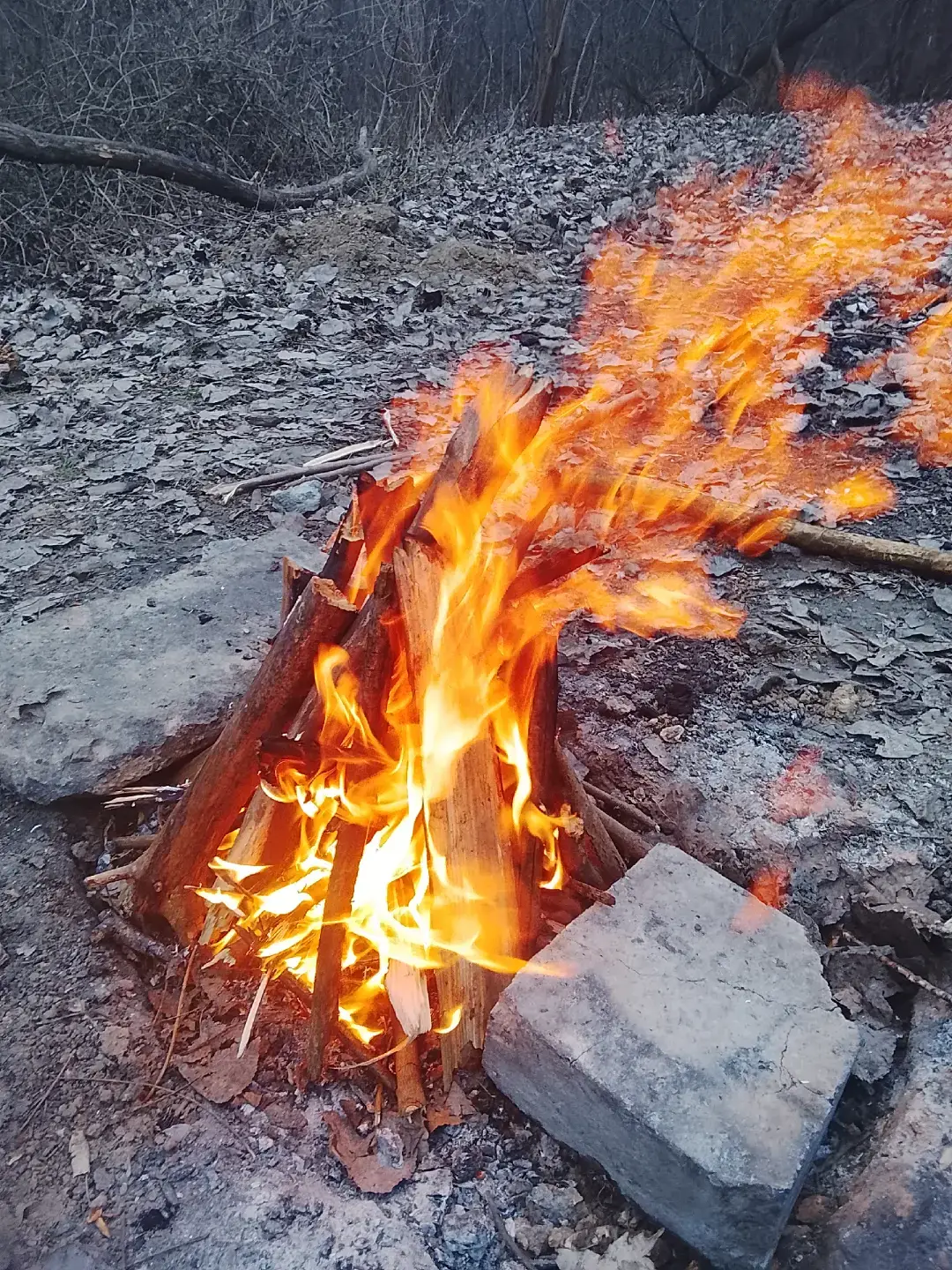 Image 4 of 4