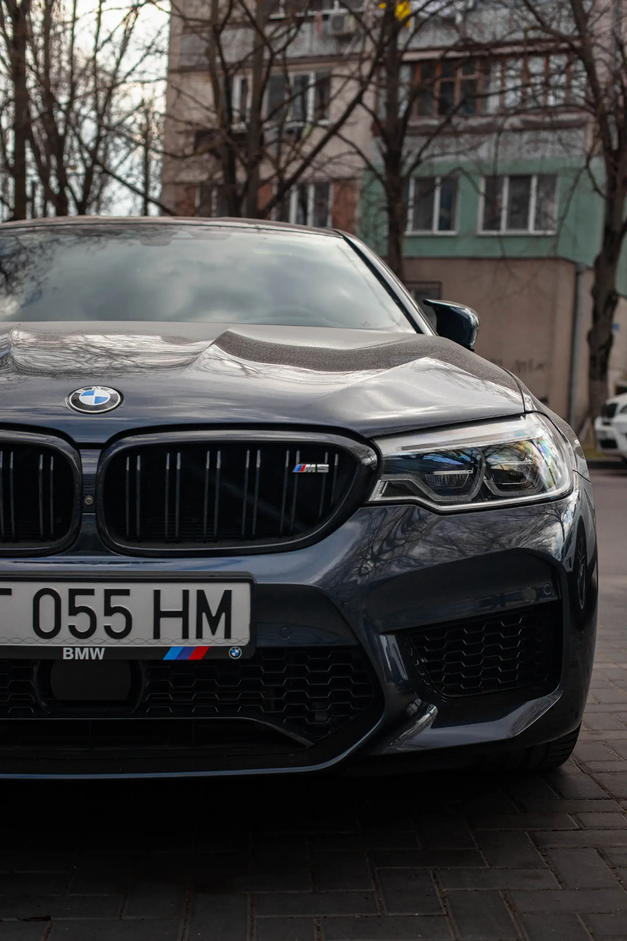 Image 4 of 8