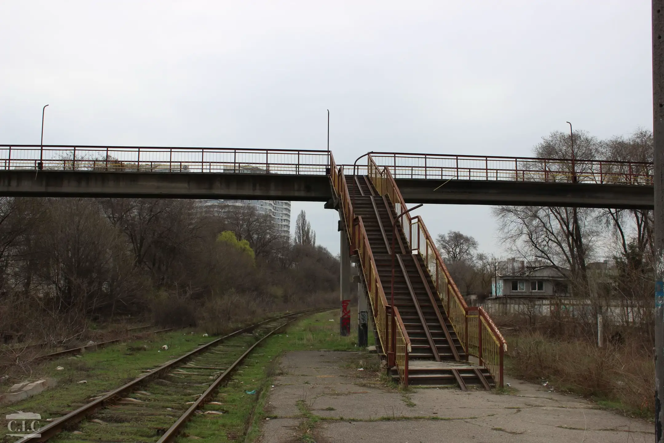 Image 7 of 12